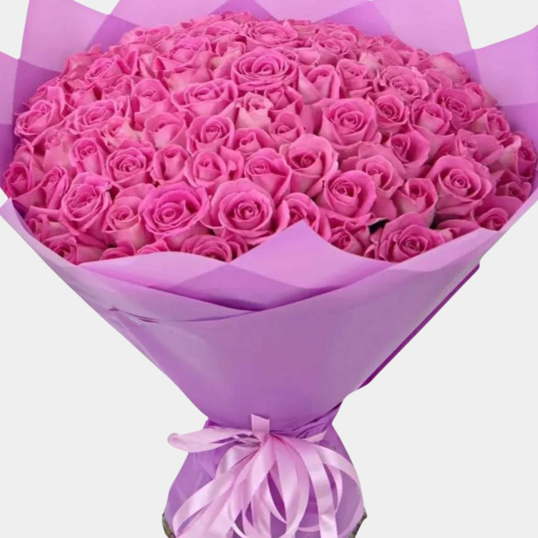 100 Luxury Pink Roses