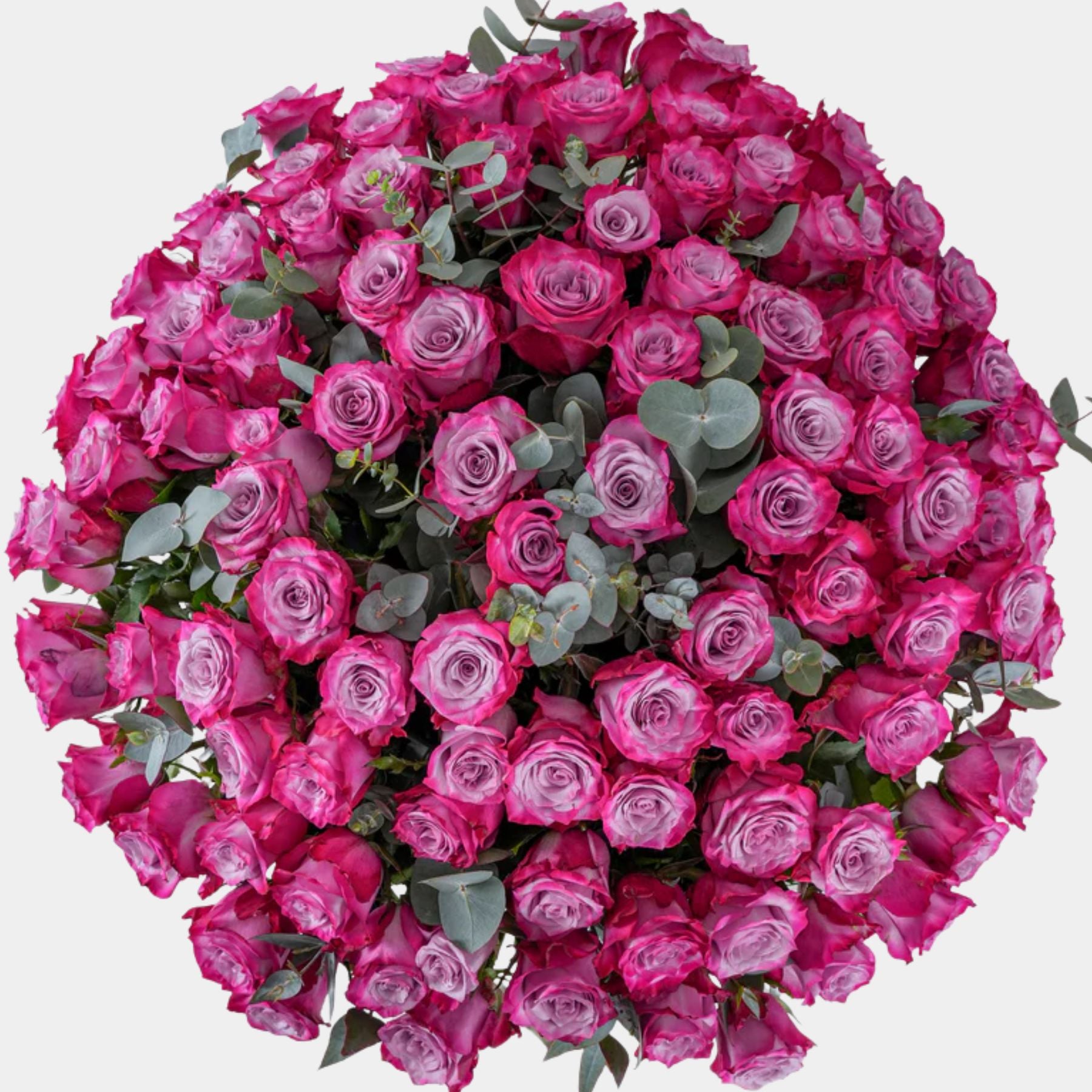 100 Luxury Purple Roses Vase