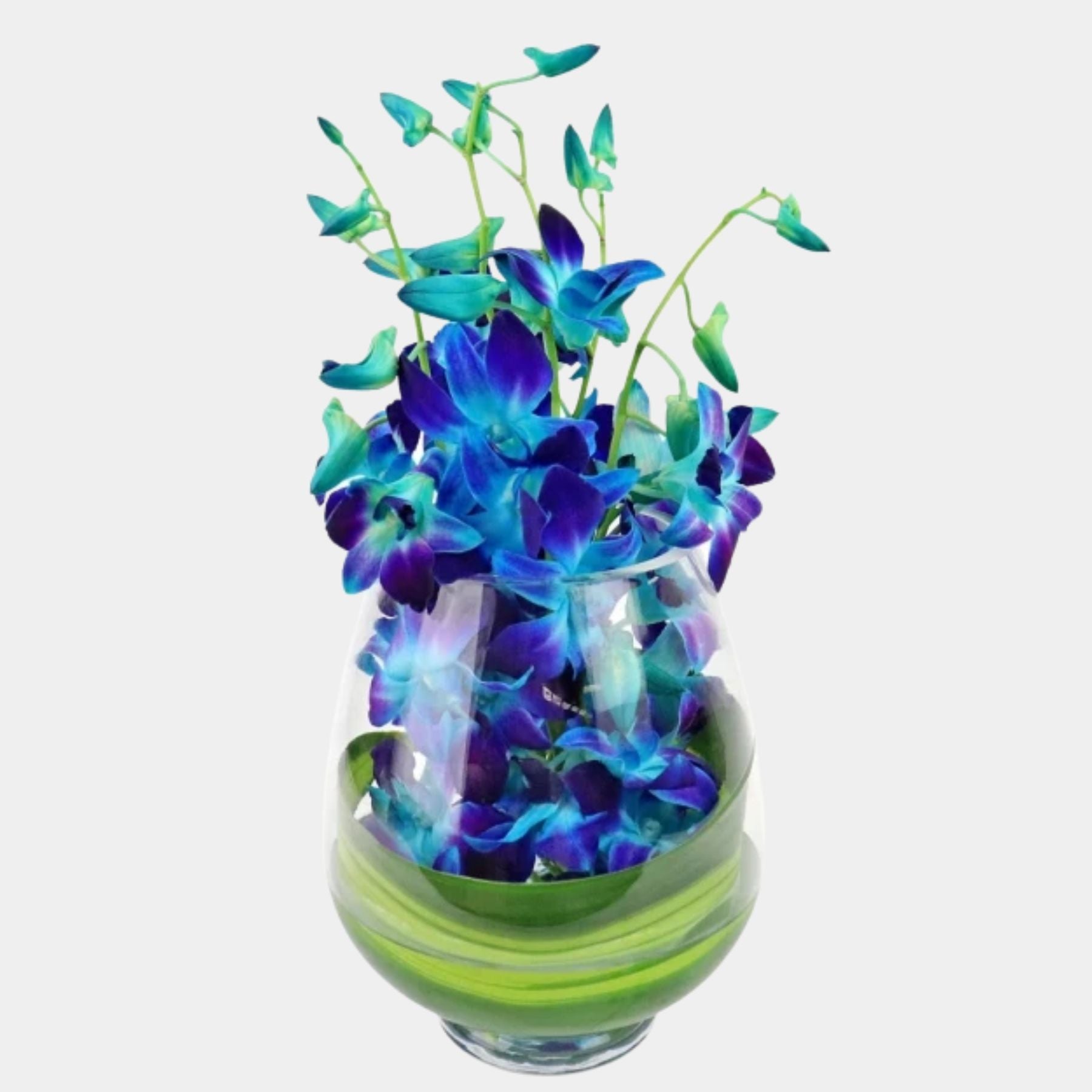 10 Blue Orchids in a Vase