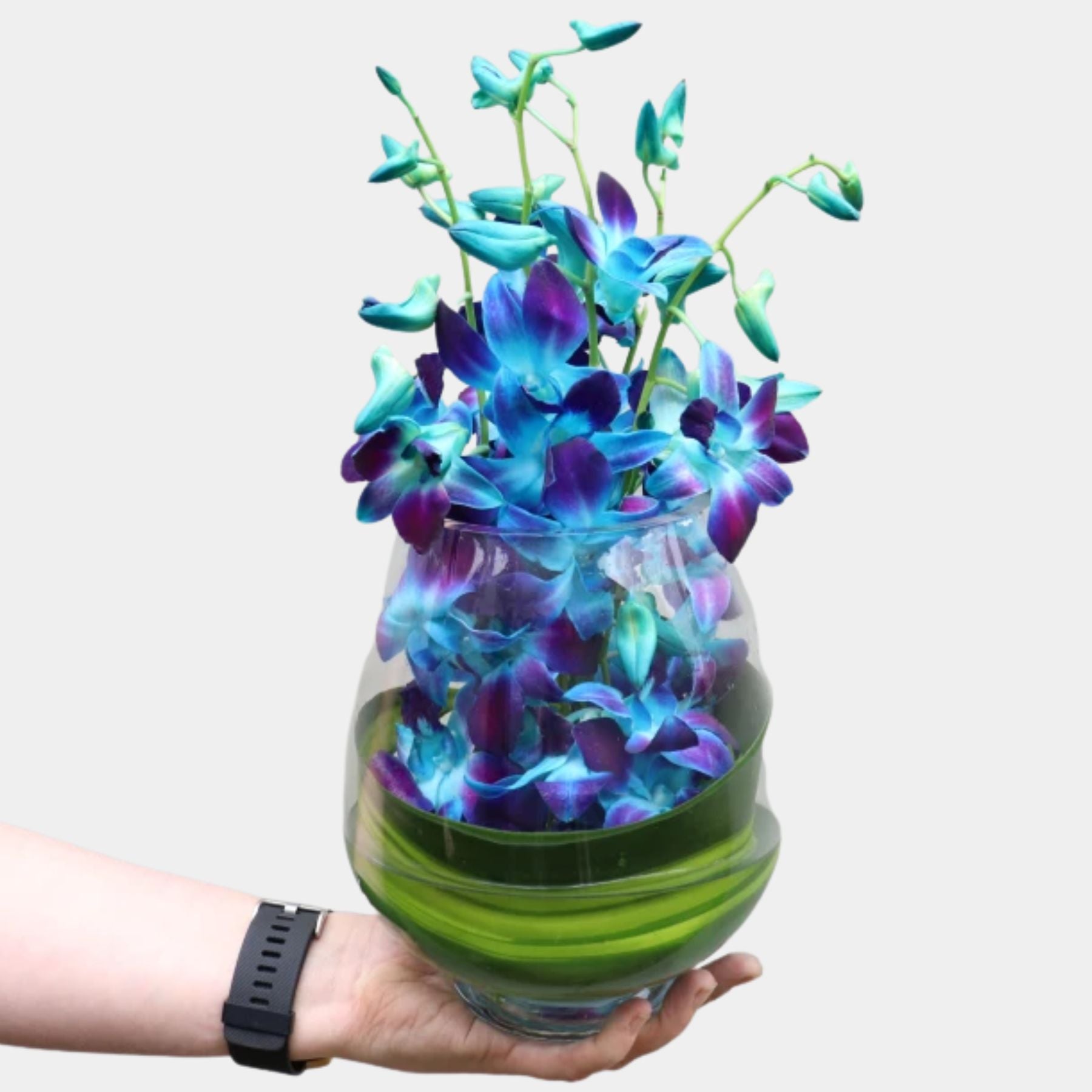10 Blue Orchids in a Vase