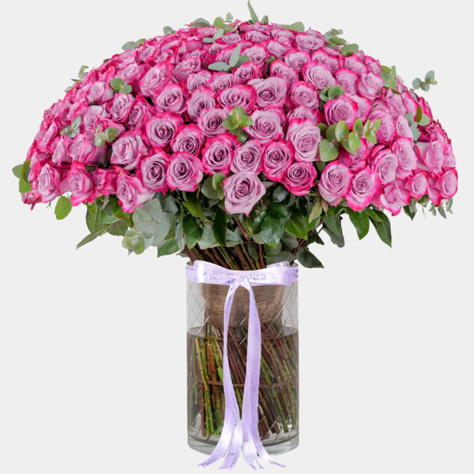 150 Luxury Purple Roses Vase