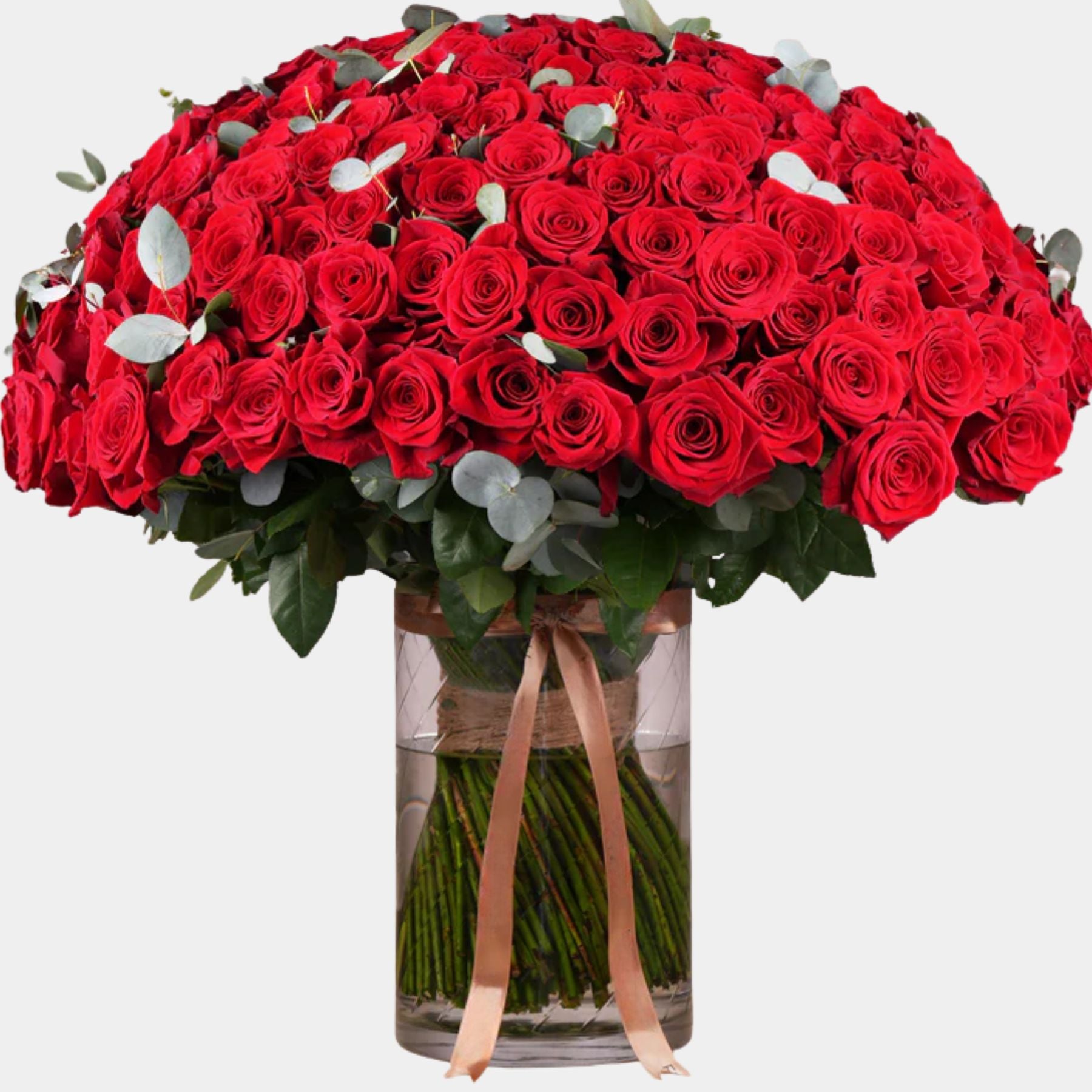 150 Luxury Red Roses Vase