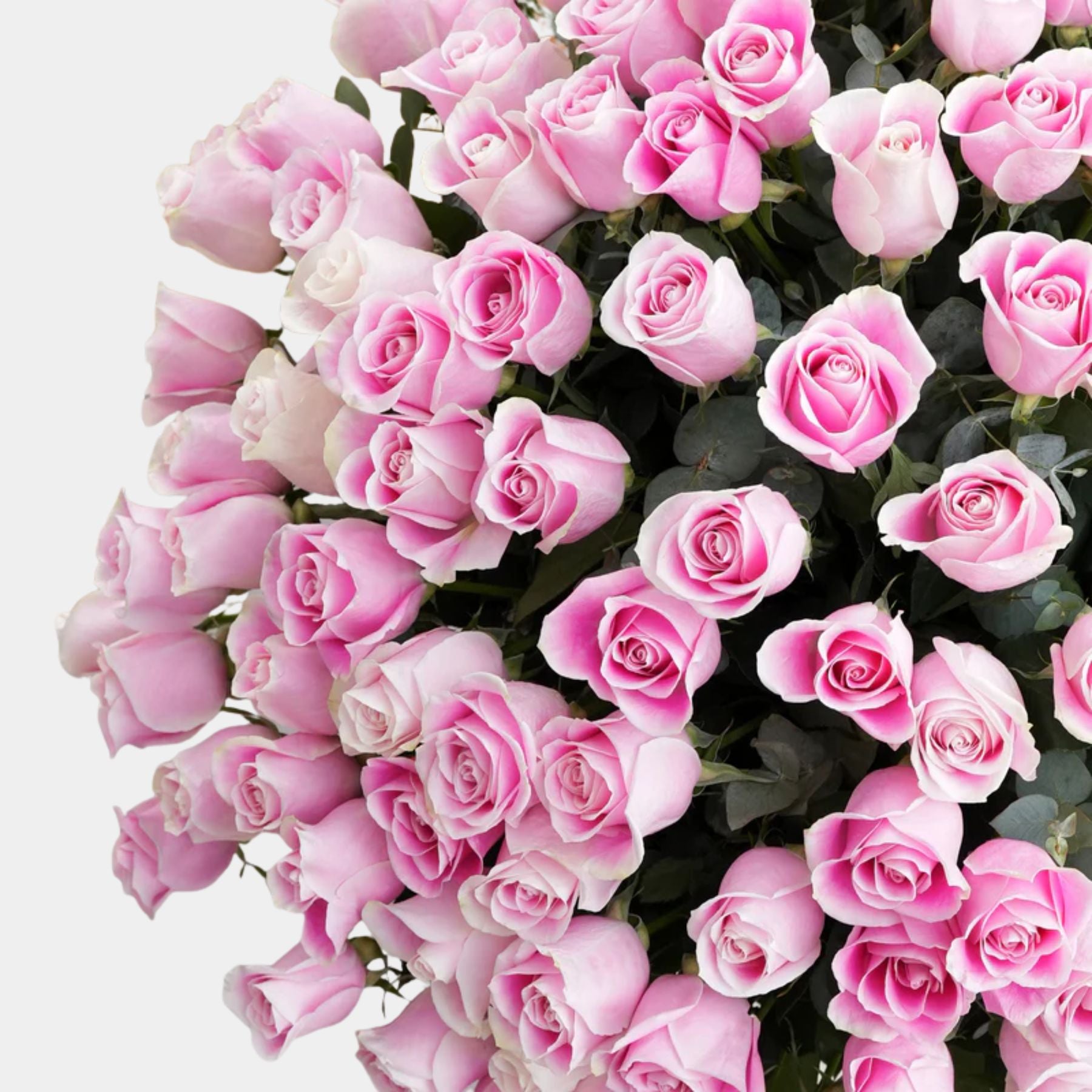 200 Luxury Pink Roses Vase
