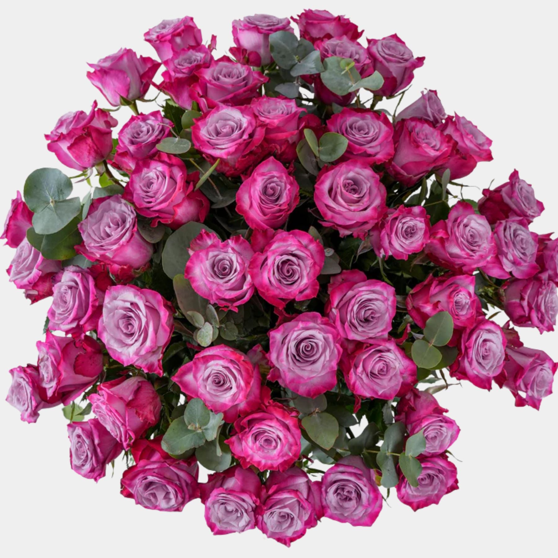 50 Purple Roses Vase