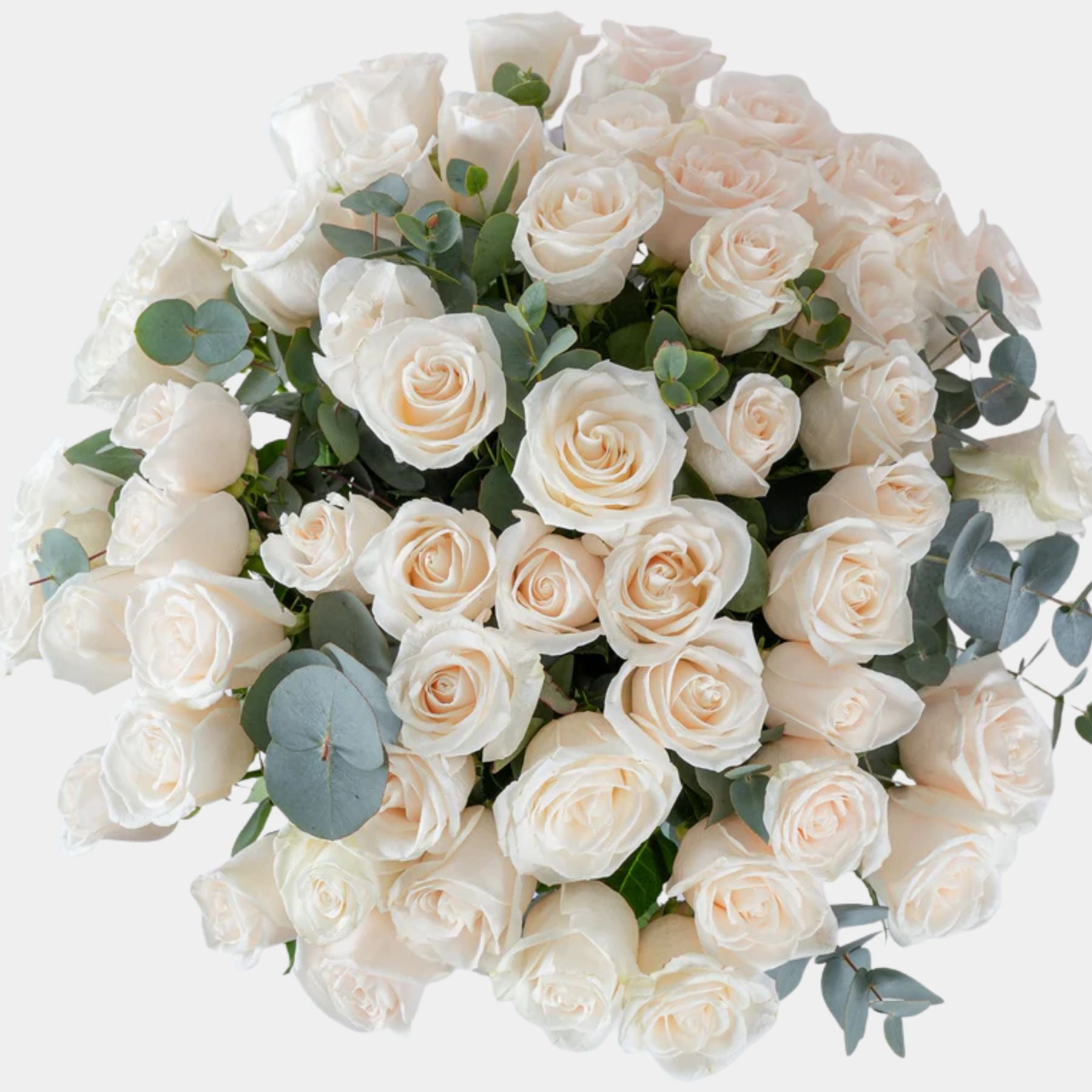 50 White Roses Vase