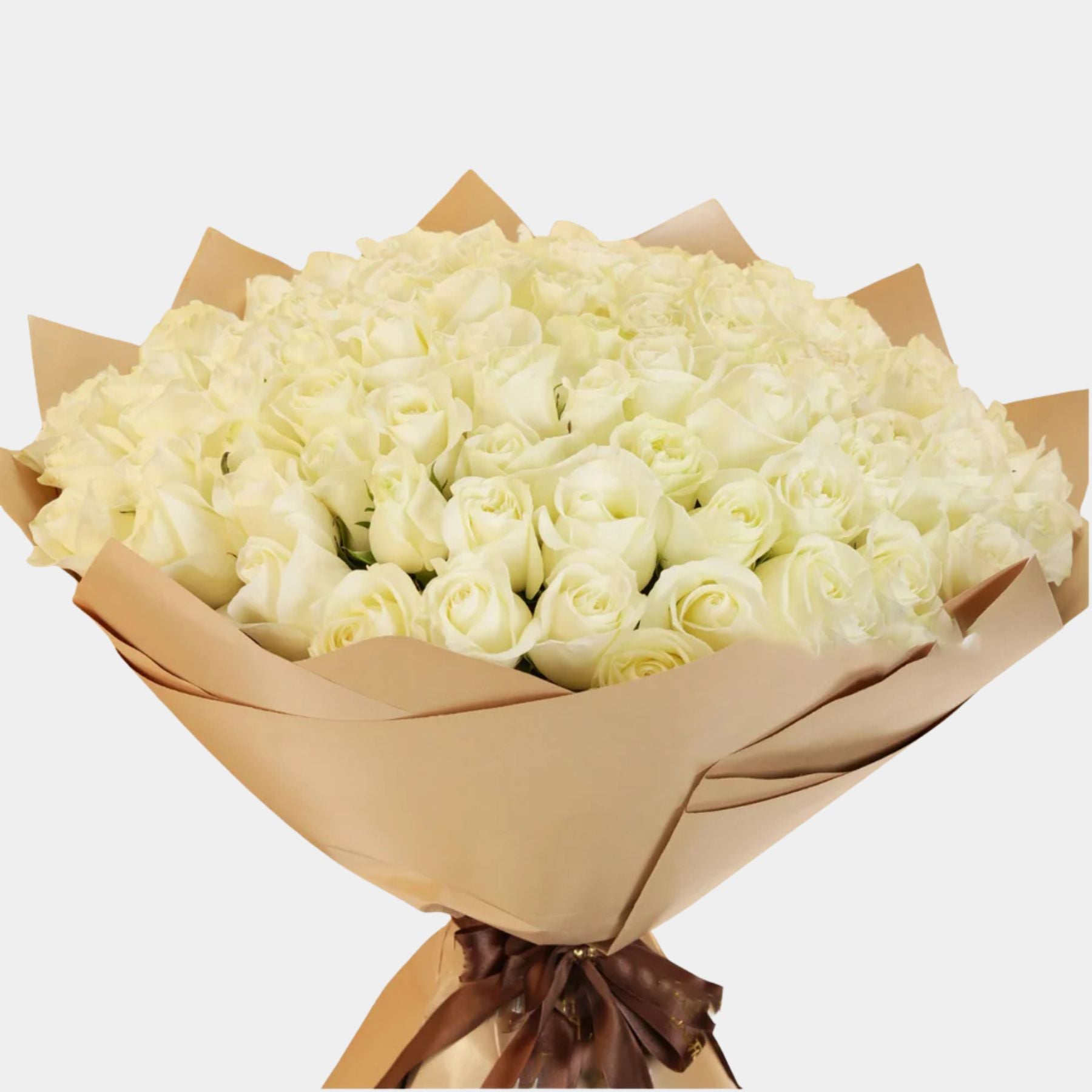 Bouquet of 100 White Roses