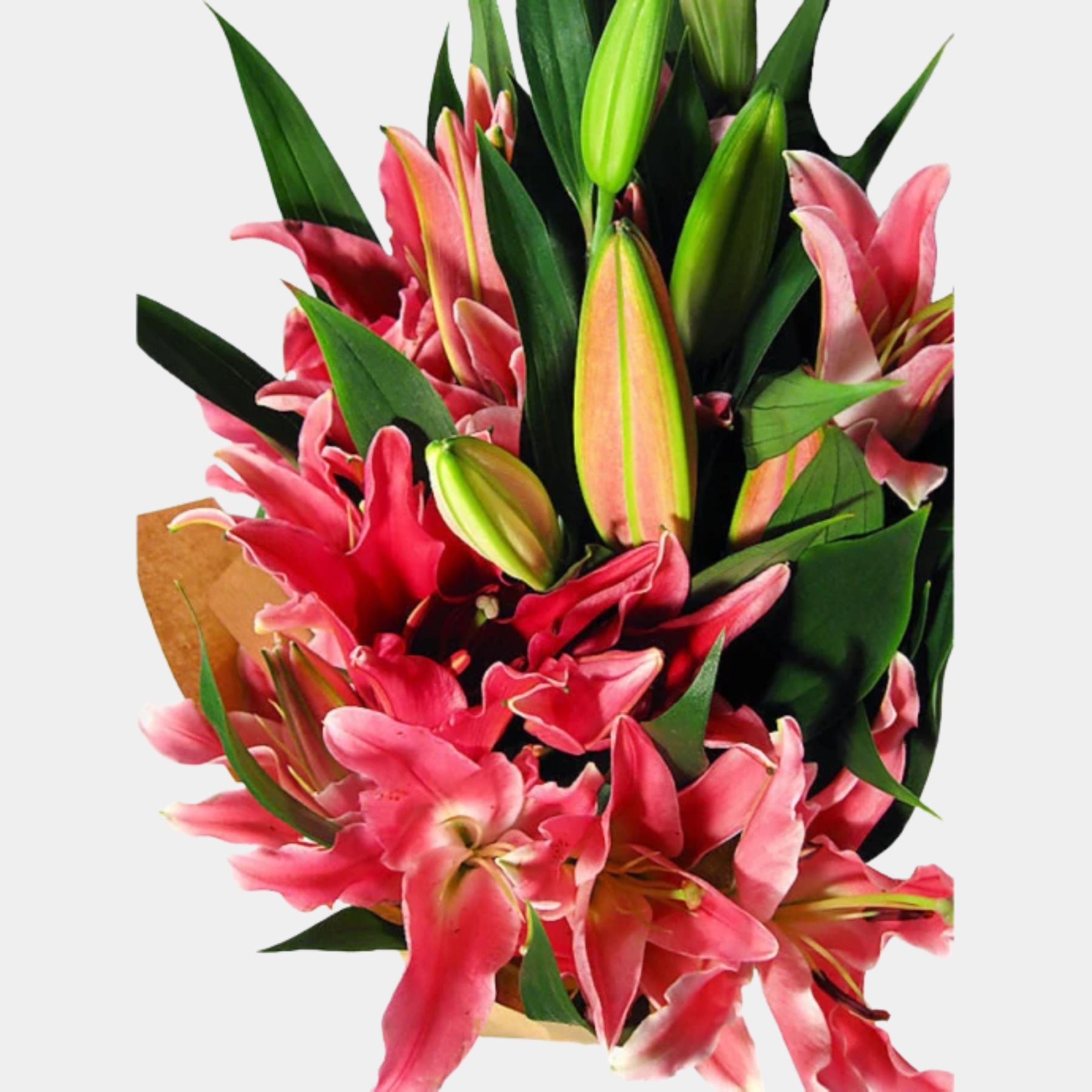 Bouquet of 10 Pink Oriental Lily