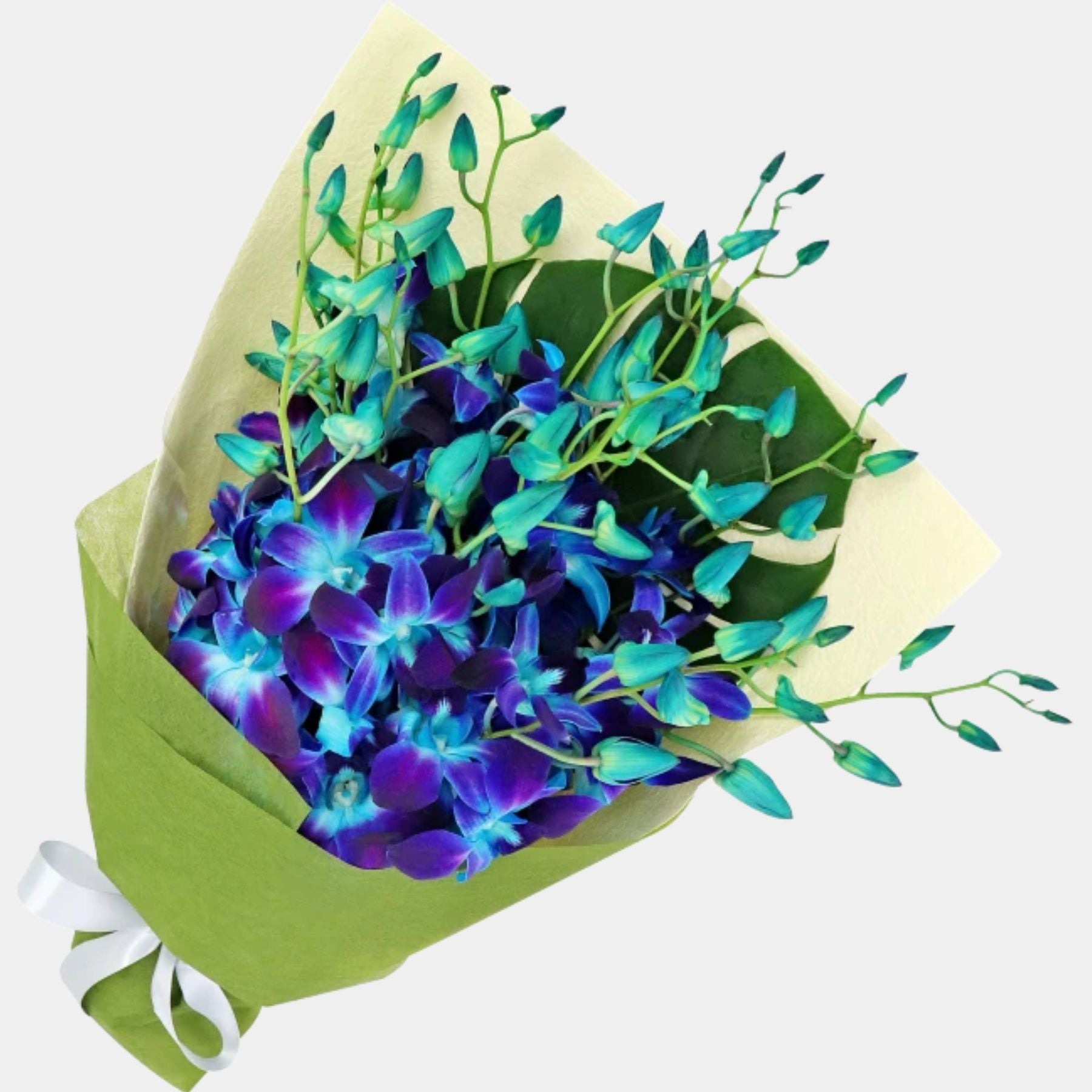 Bouquet of 15 Blue Orchid