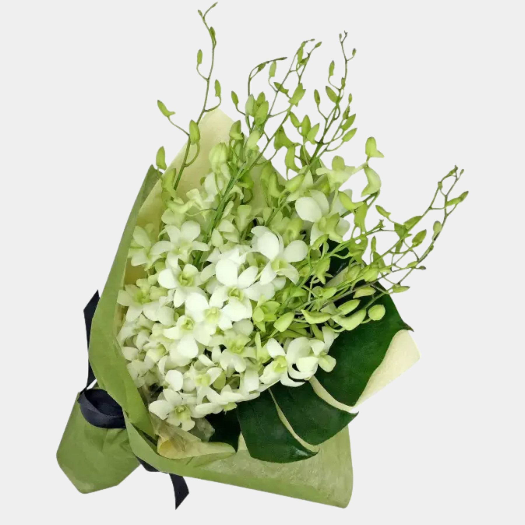 Bouquet of 15 White Orchid
