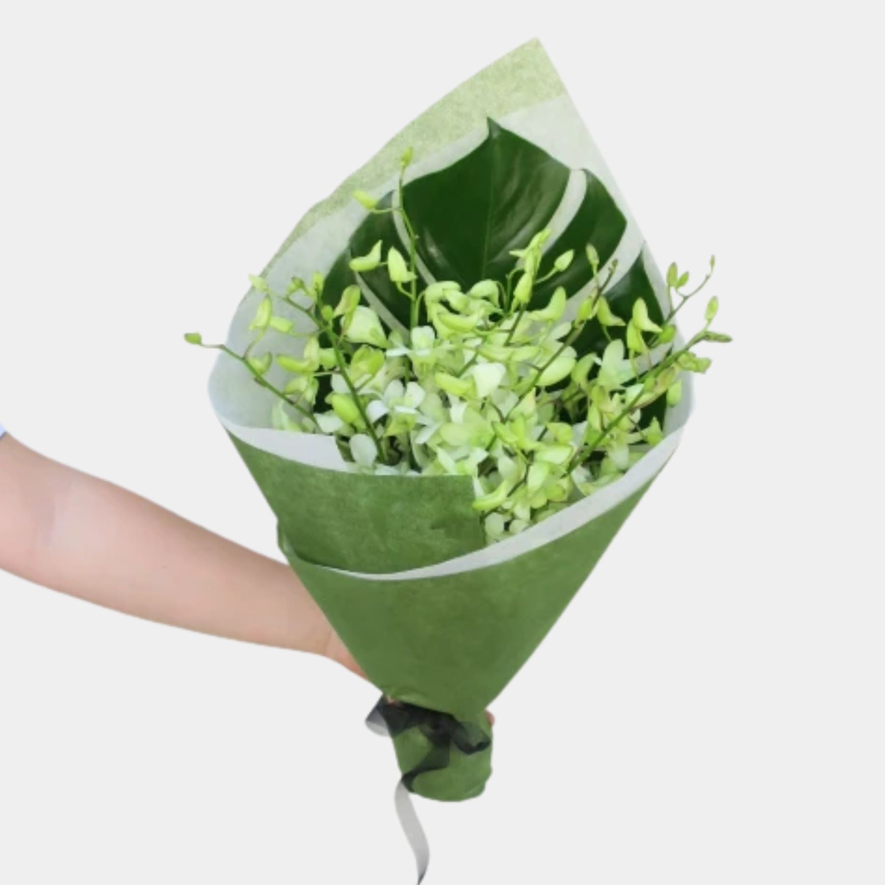 Bouquet of 15 White Orchid