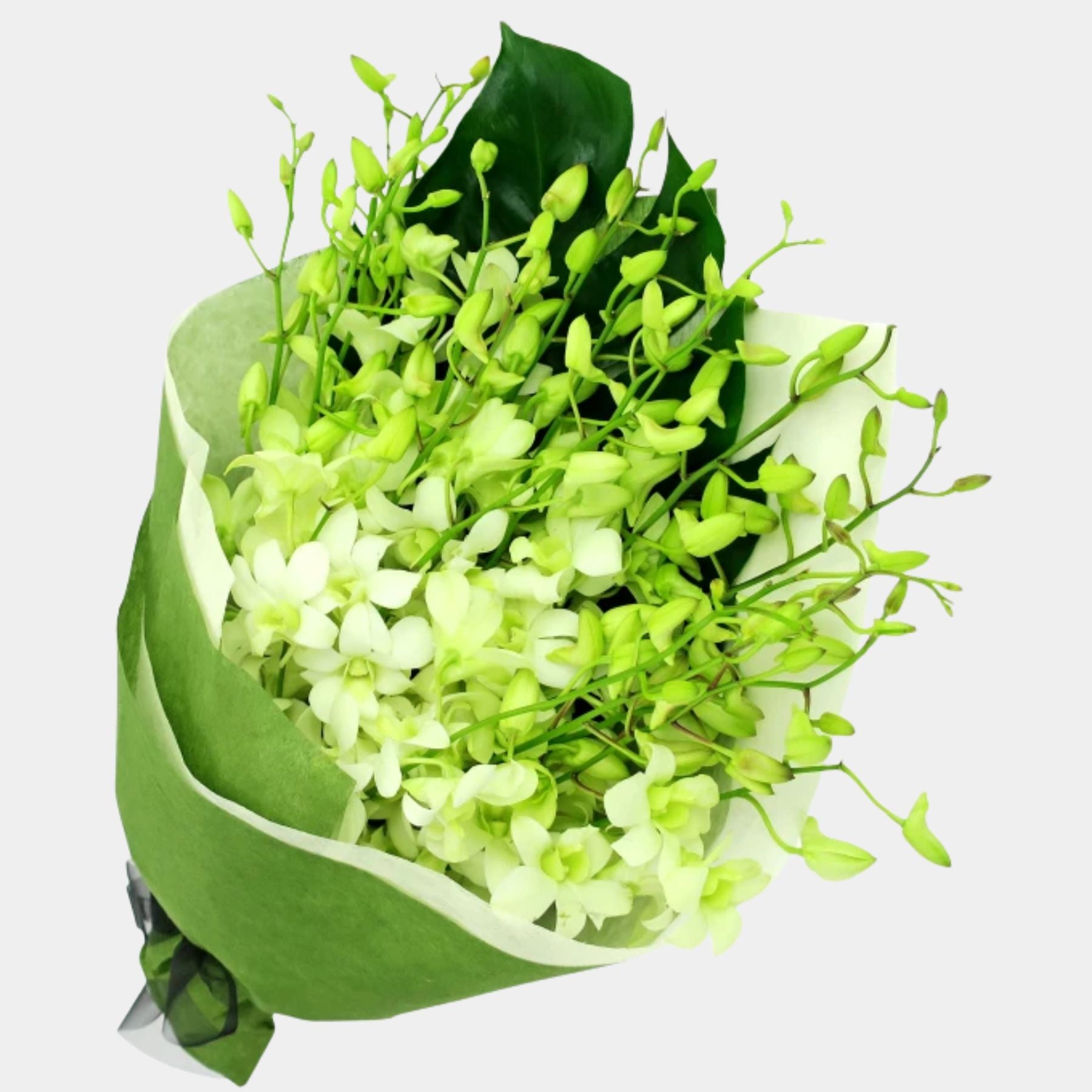 Bouquet of 20 White Orchid