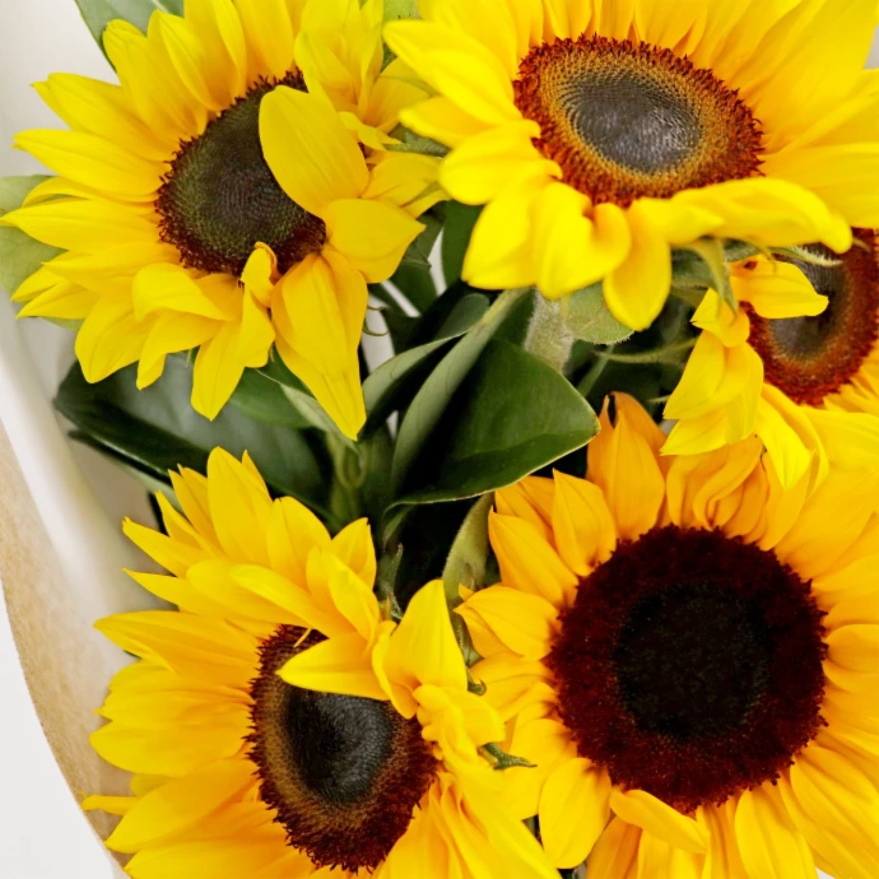 Bouquet of 5 Sunflowers
