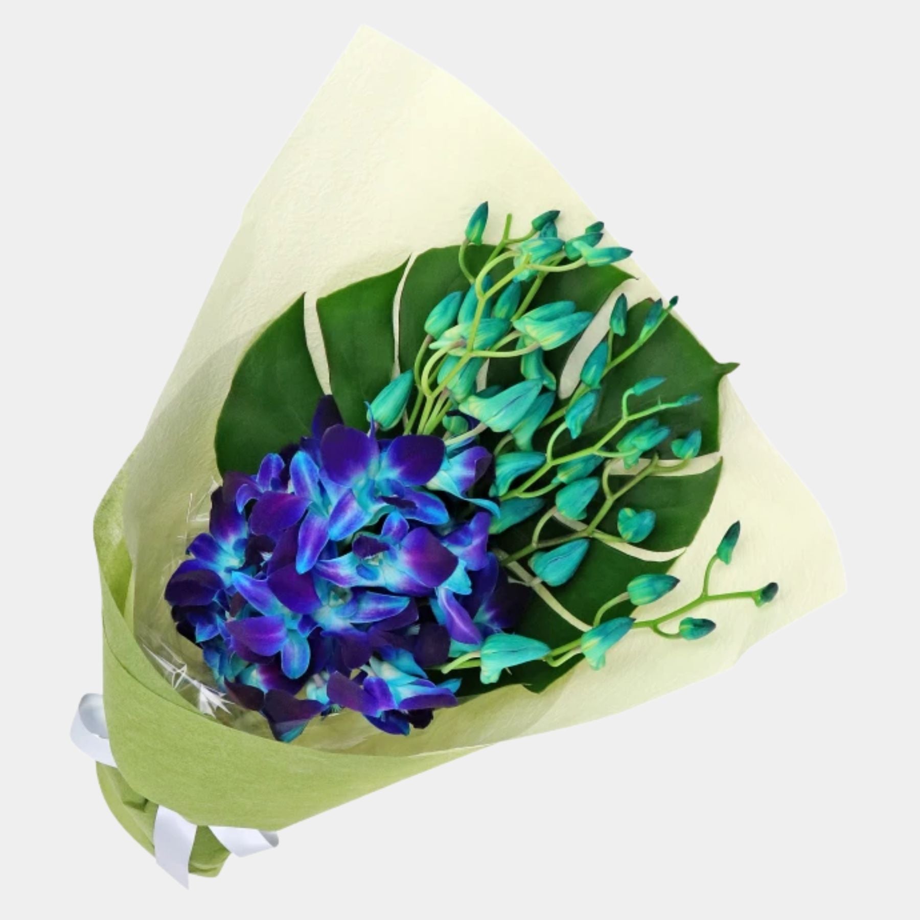 Bouquet of 7 Blue Orchid