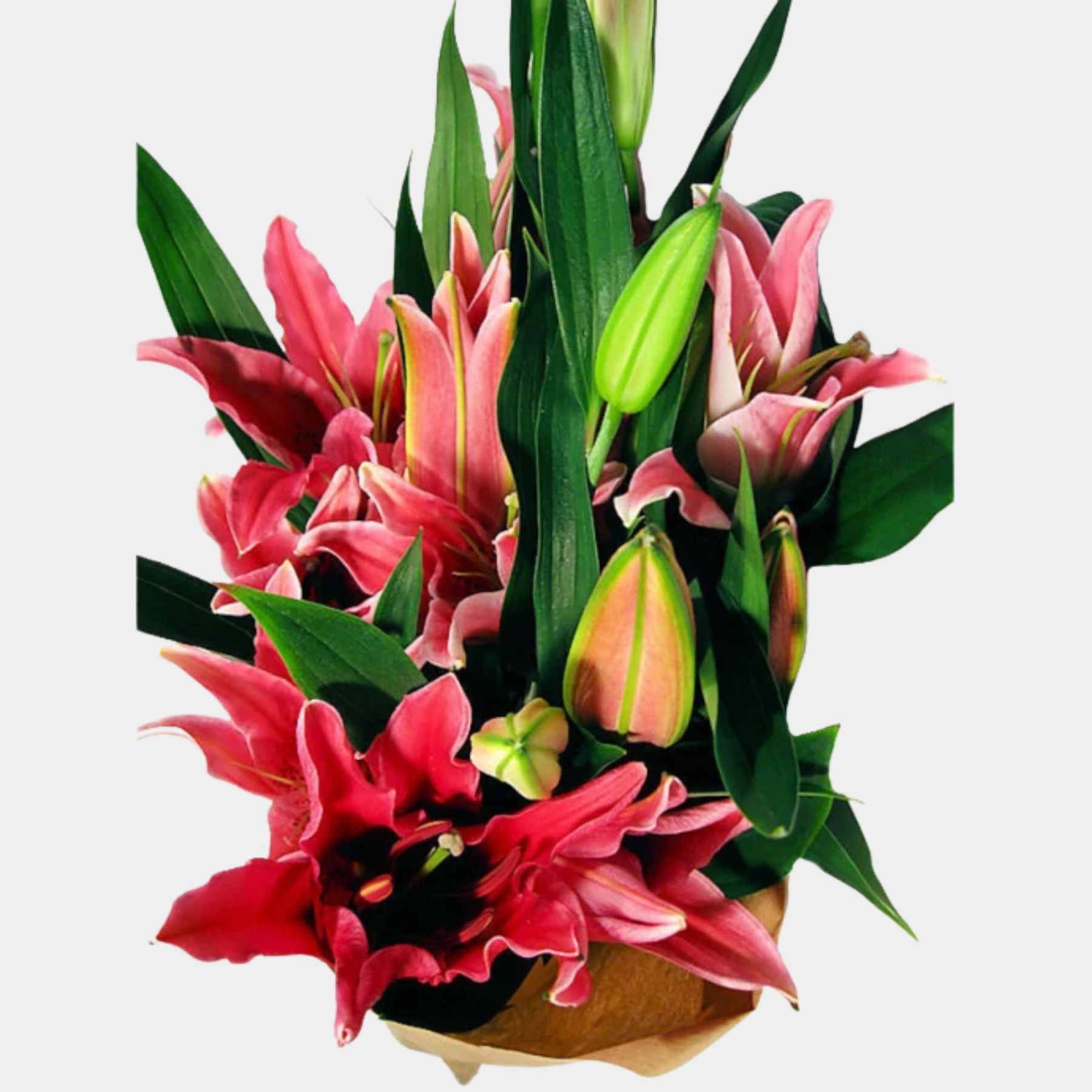 Bouquet of 7 Pink Oriental Lily