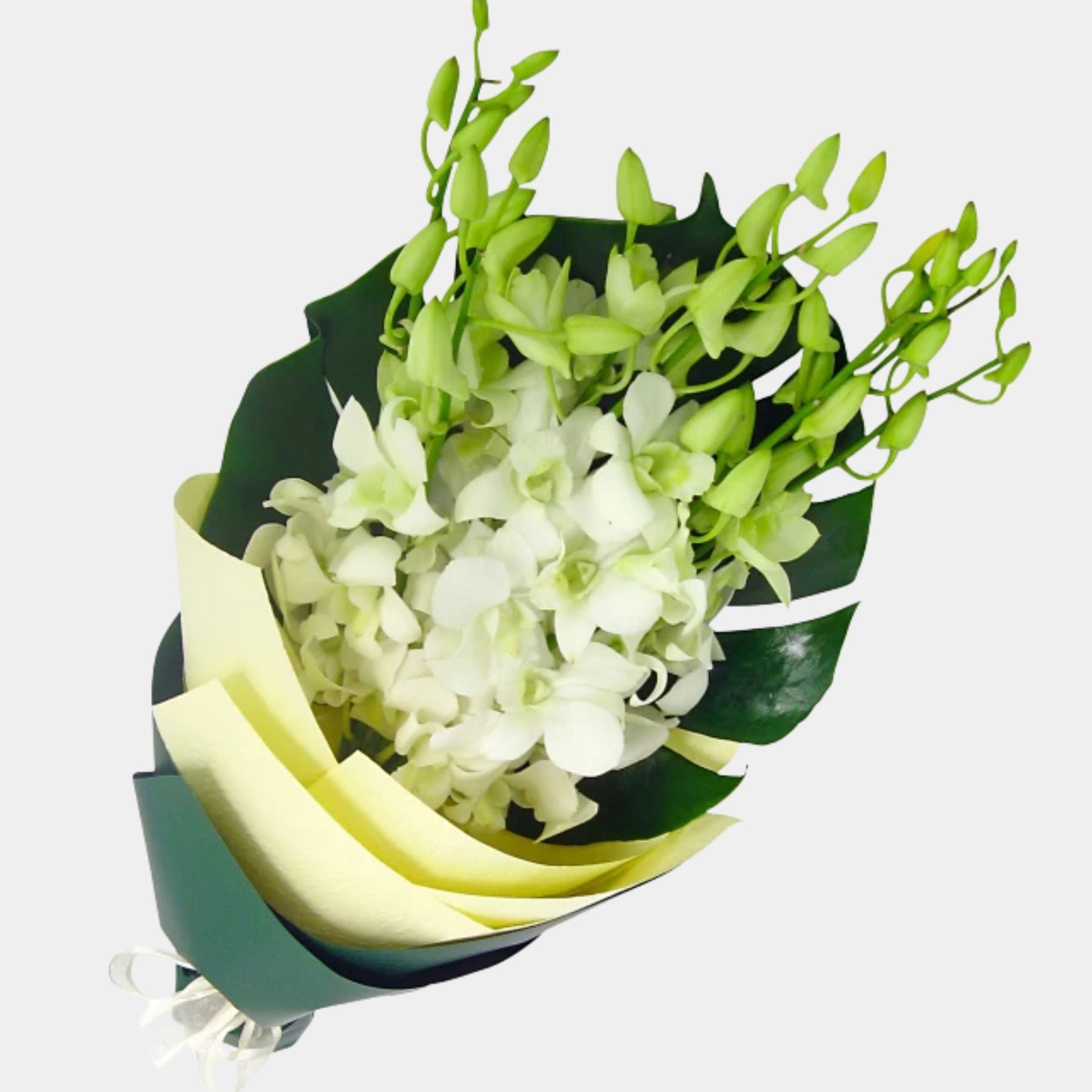 Bouquet of 7 White Orchid