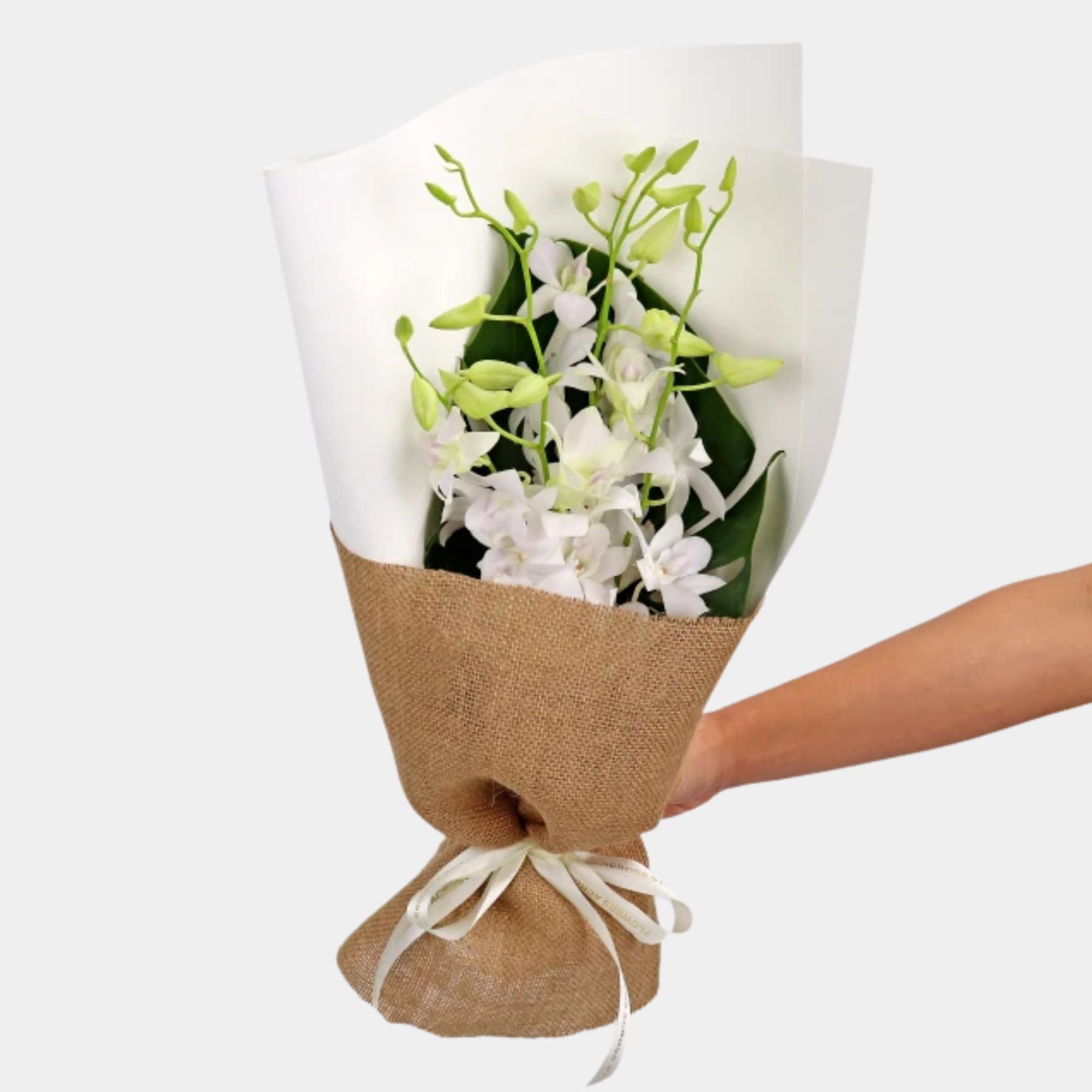 Bouquet of 7 White Orchid