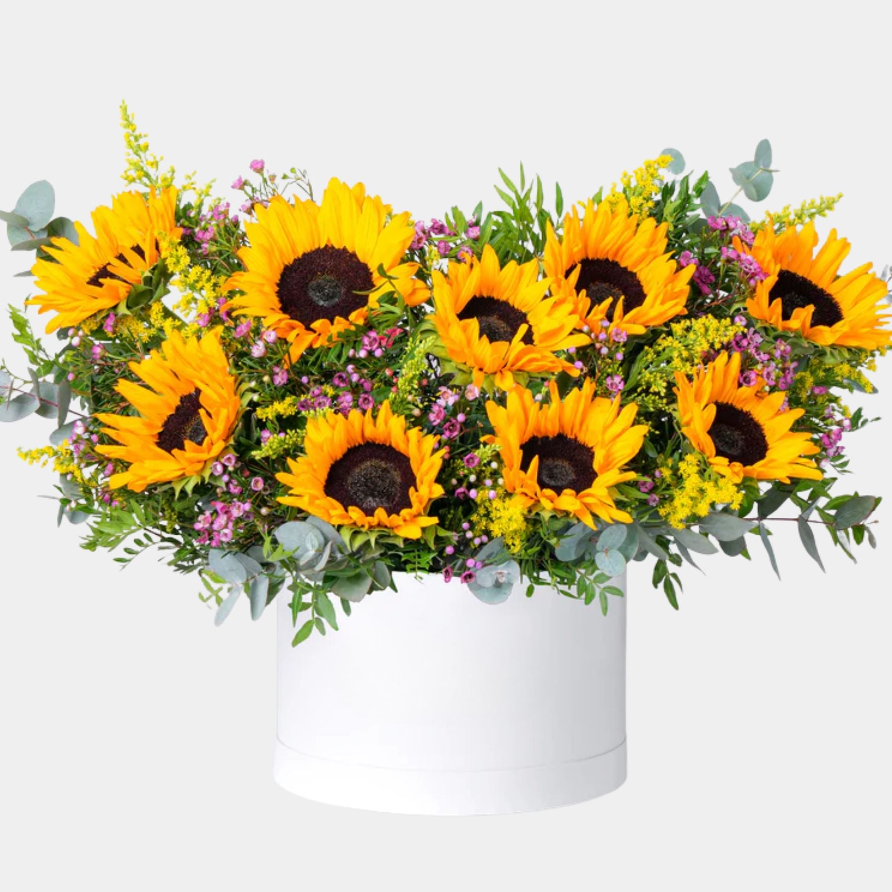 Zovi Sunflowers Flower Box