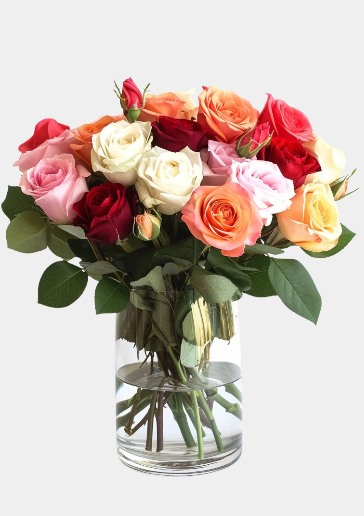 Mixed Roses