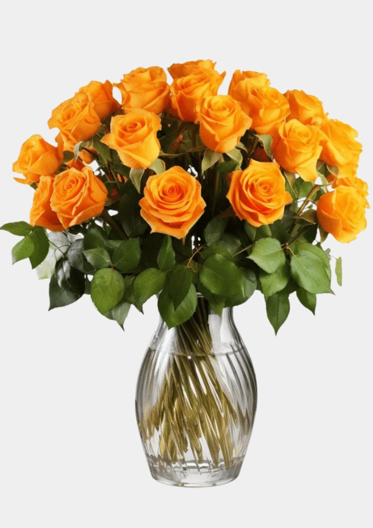Orange Roses Bunch