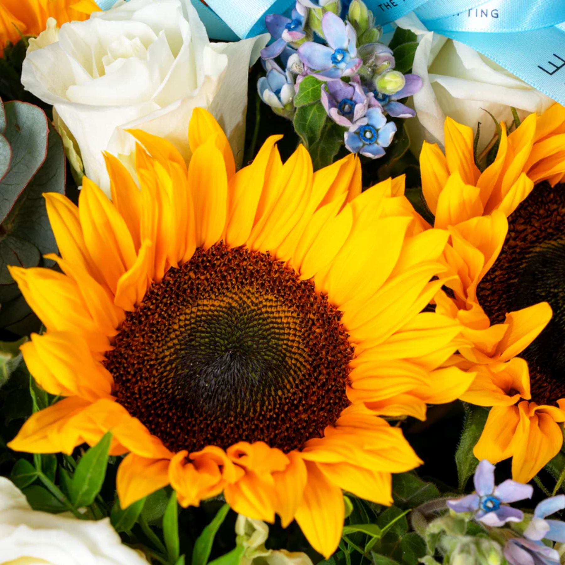 Petite Skylight Flower Box