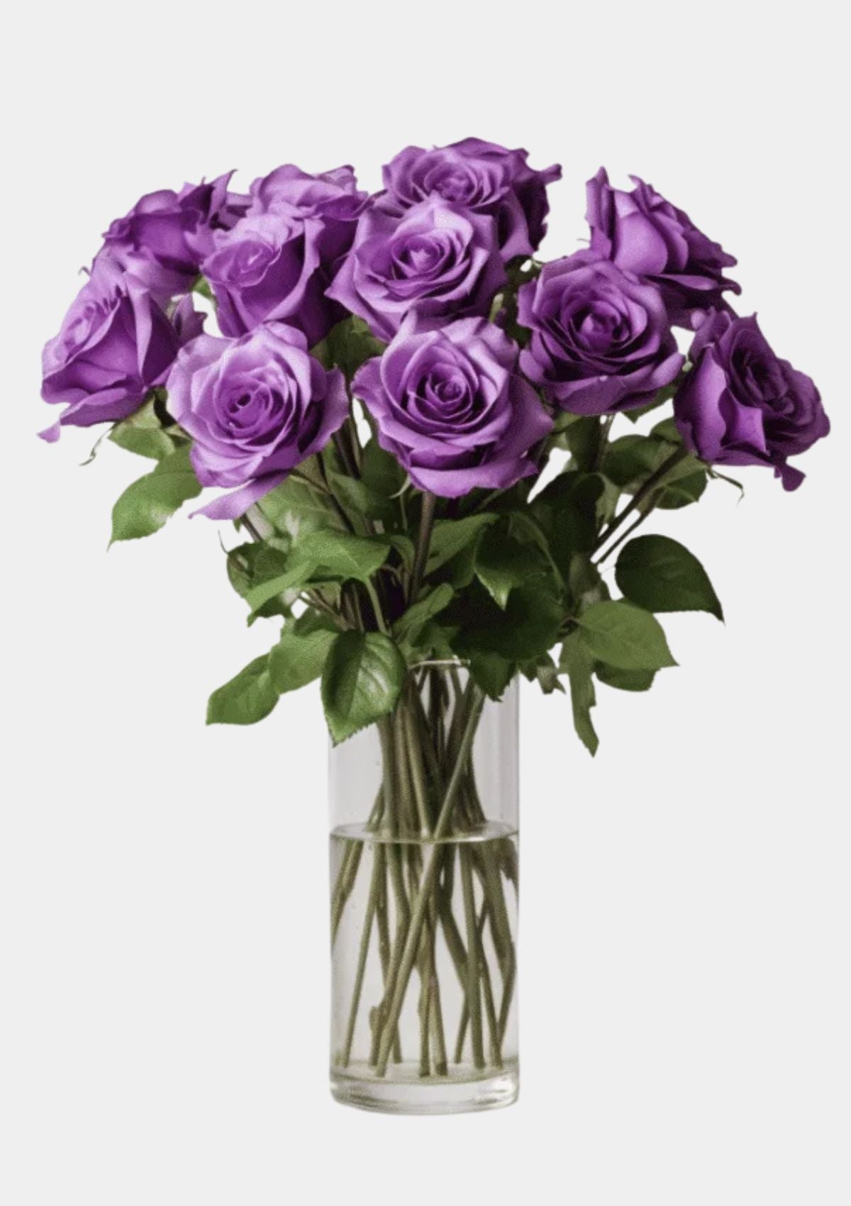 Purple Roses