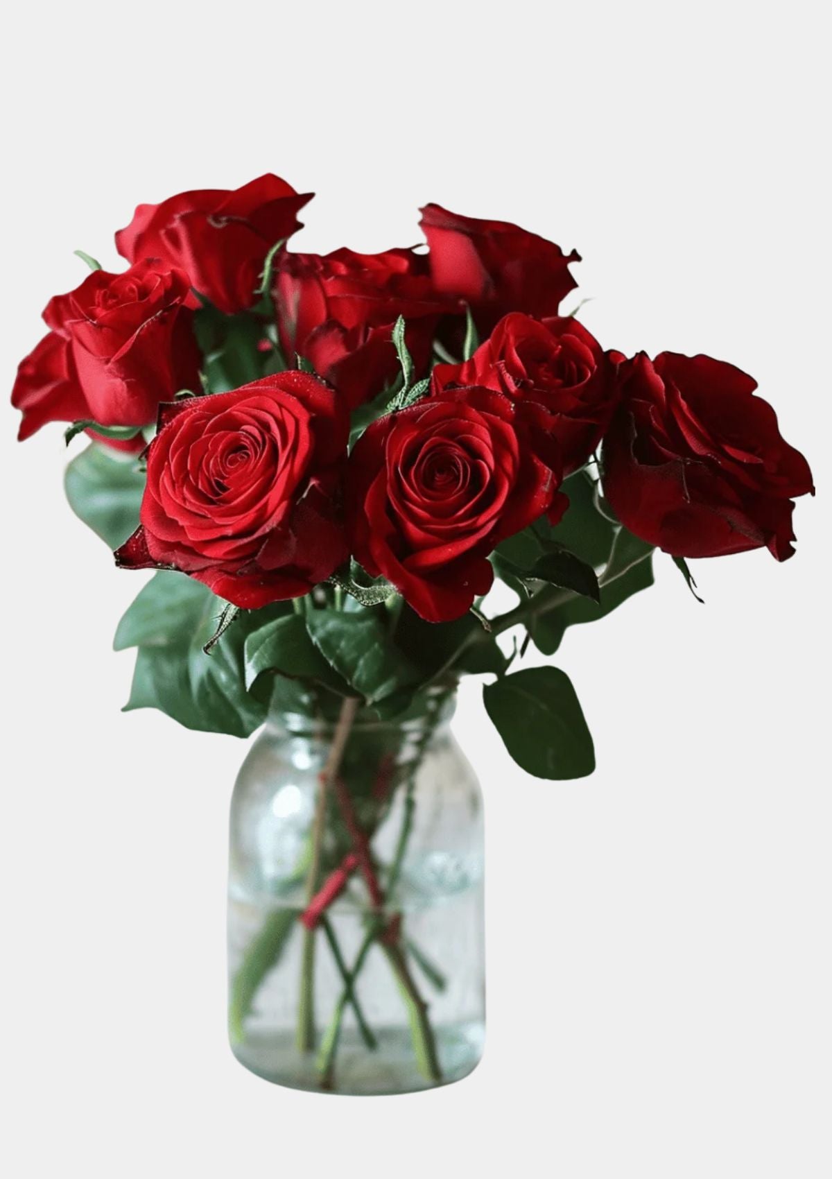 Red Garden Roses