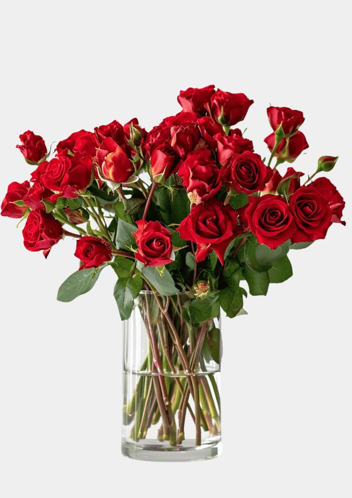 Red Spray Roses