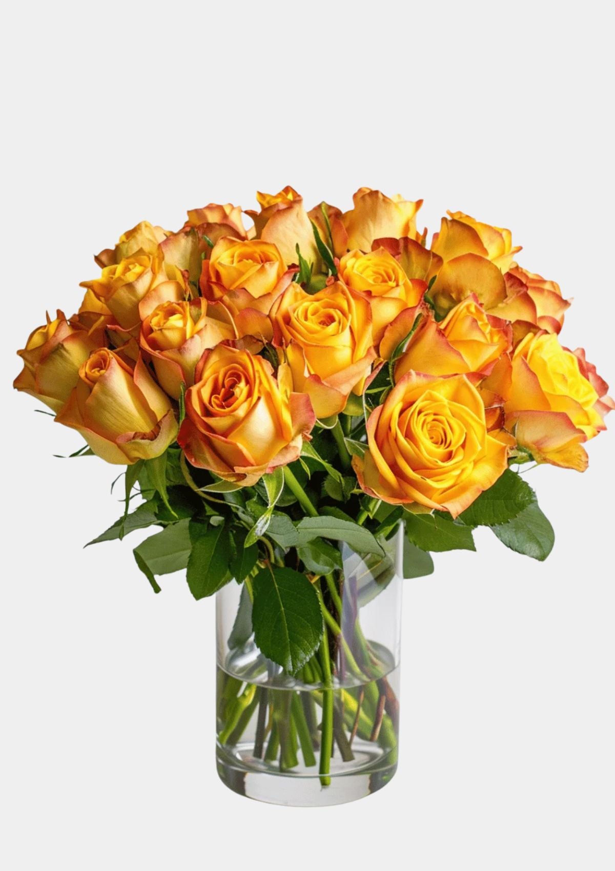 Tequila Sunrise Roses