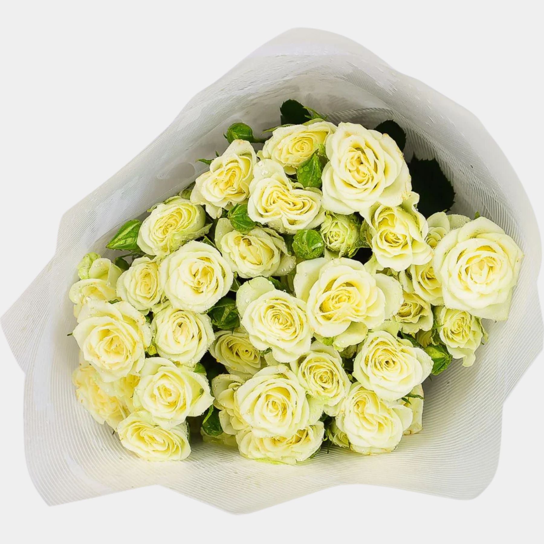 White Baby Roses Bouquet