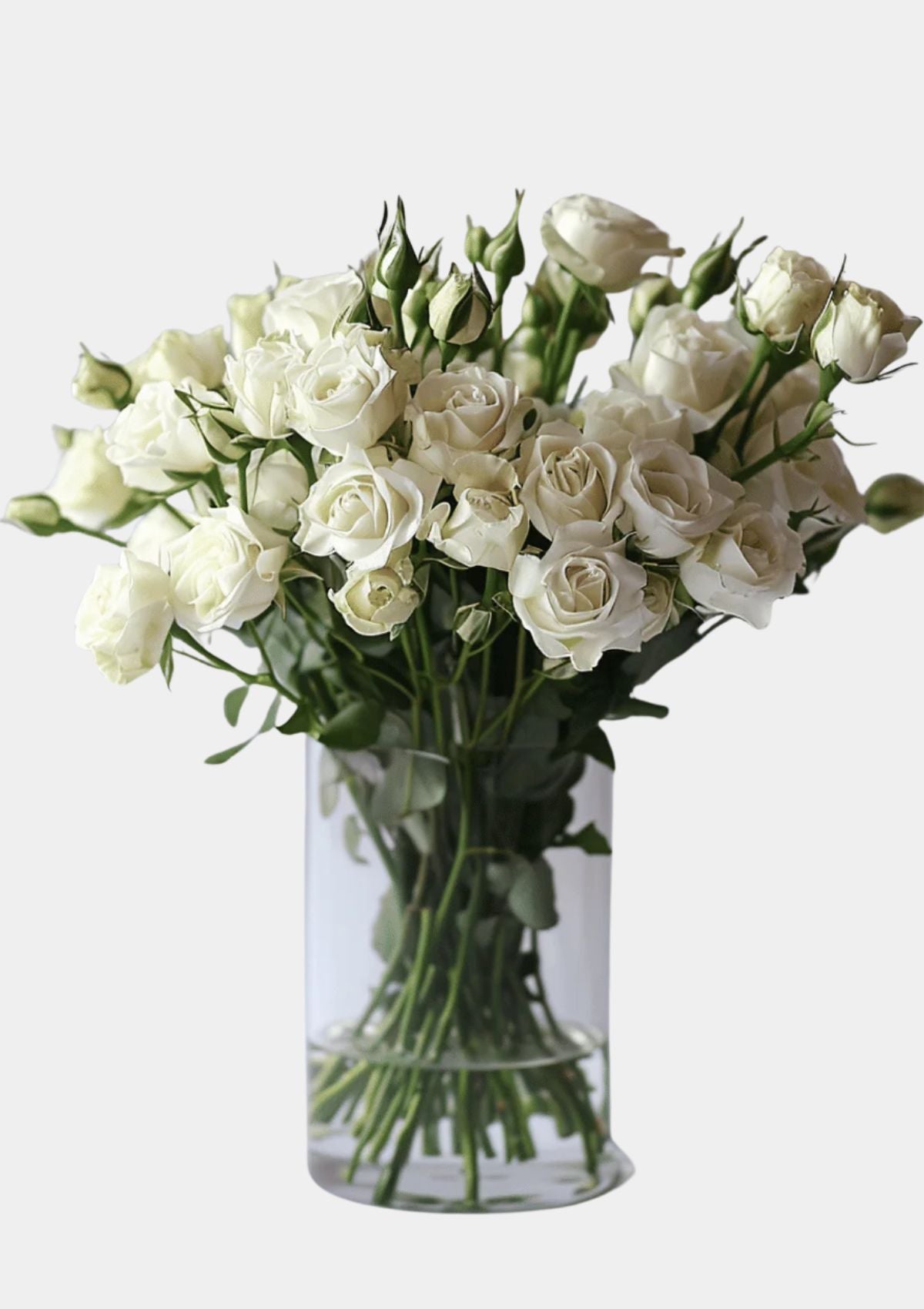 White Spray Roses