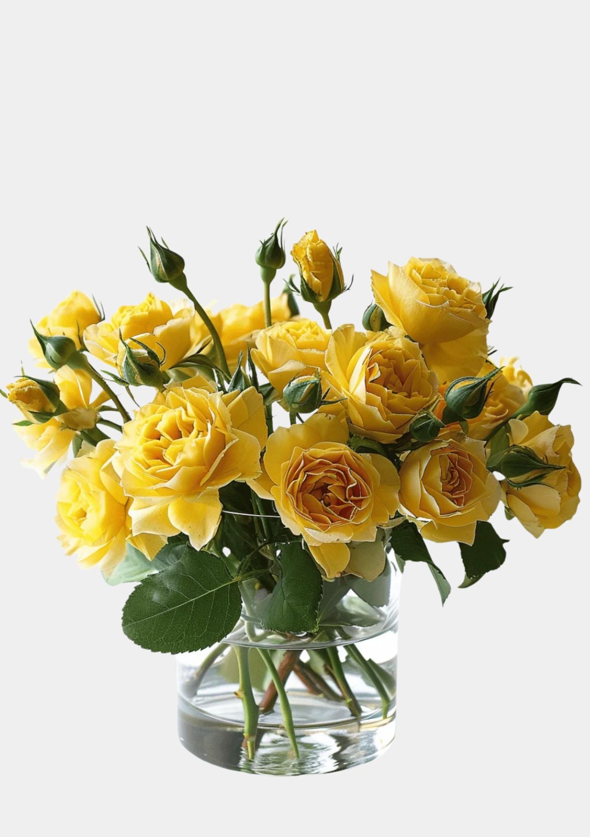 Yellow Spray Roses
