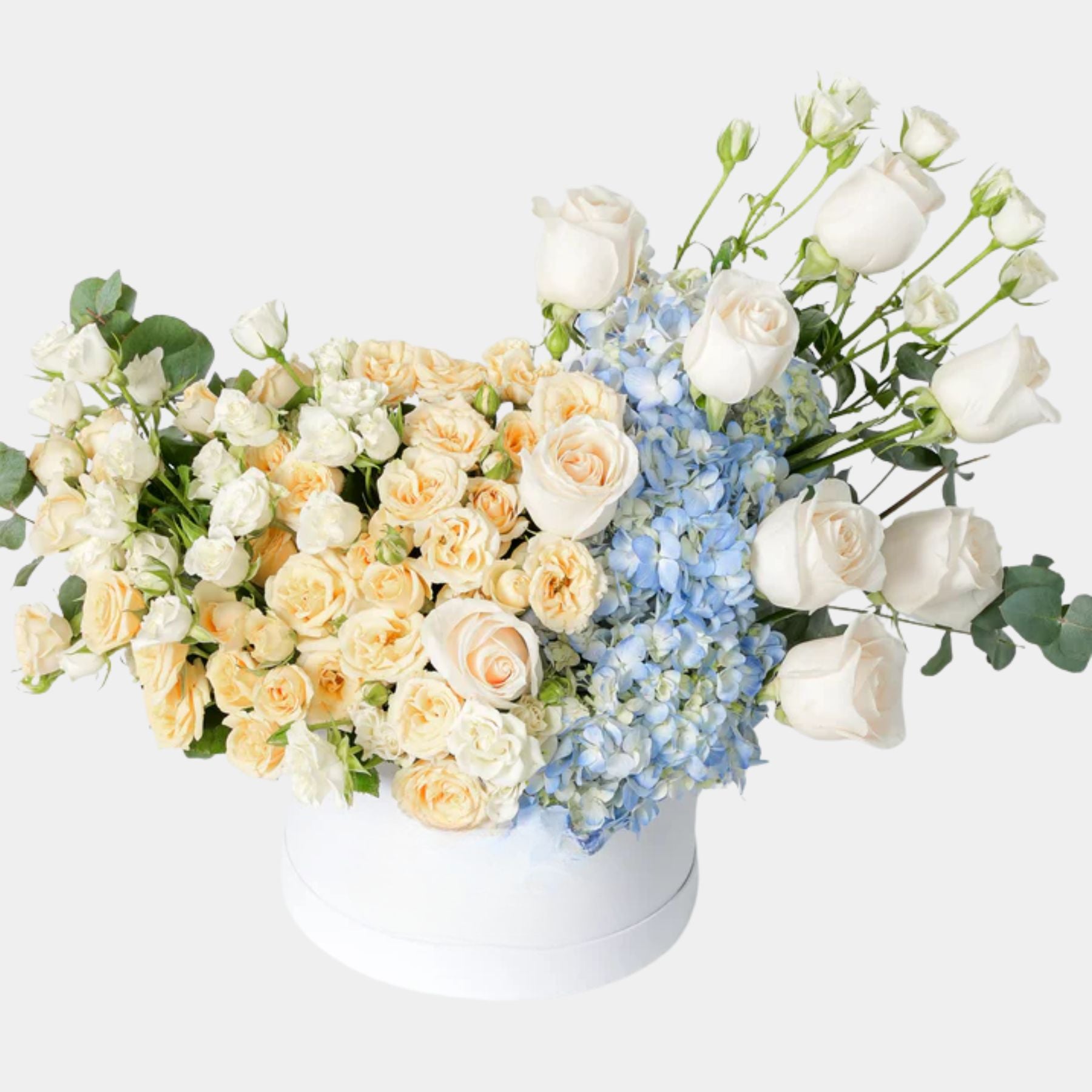 Zovi Pastel Flower Box