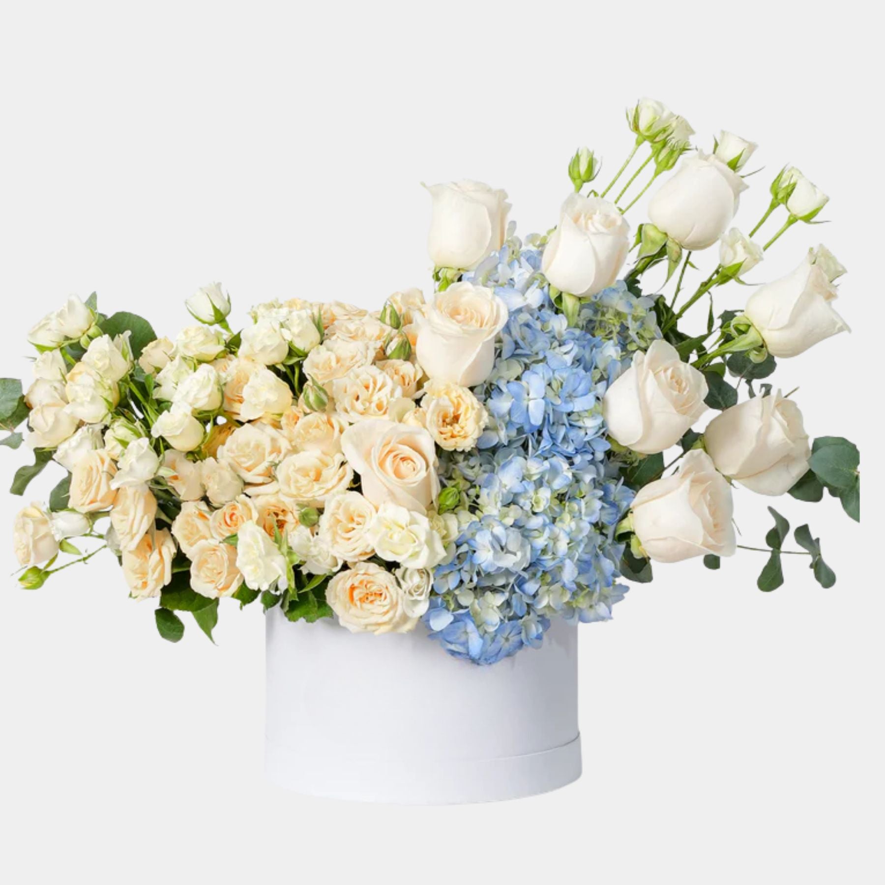 Zovi Pastel Flower Box