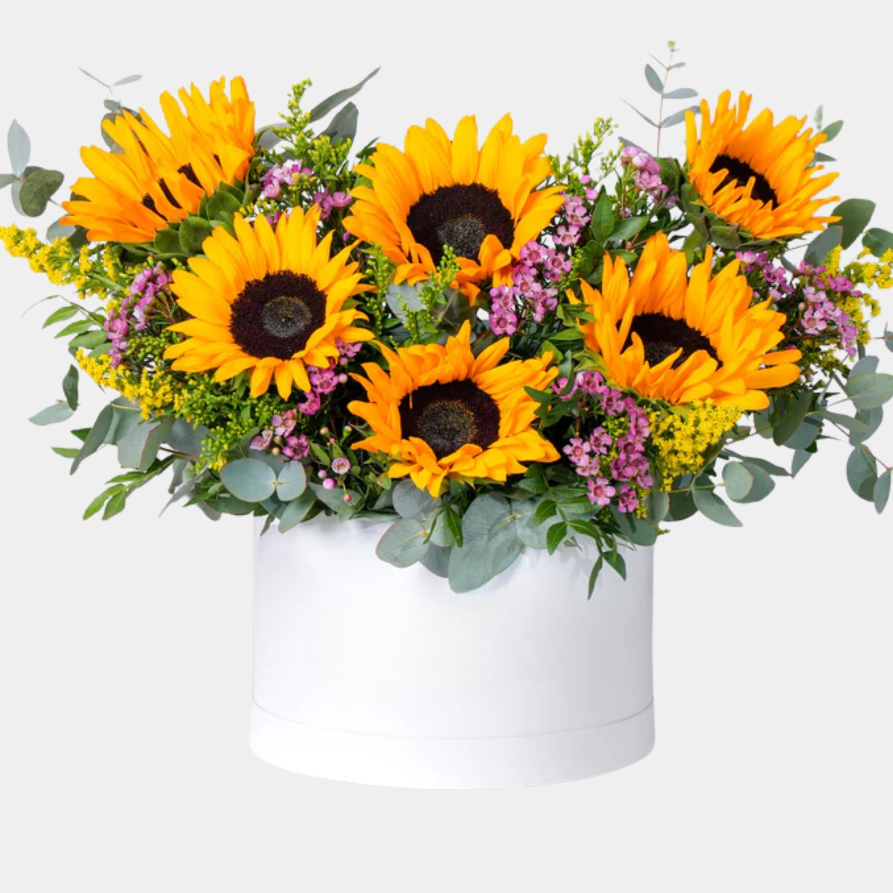 Zovi Sunflowers Flower Box