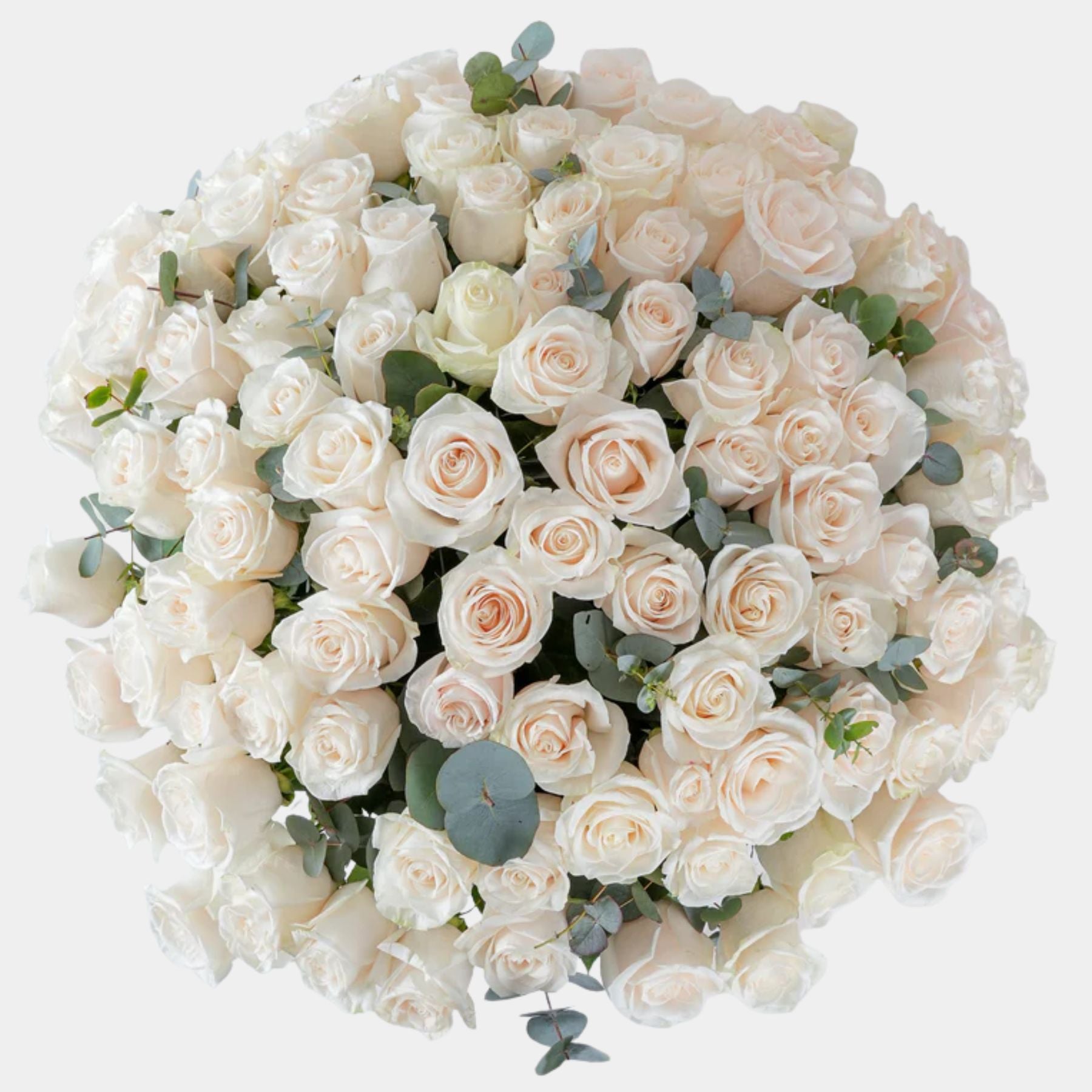 100 Luxury White Roses Vase