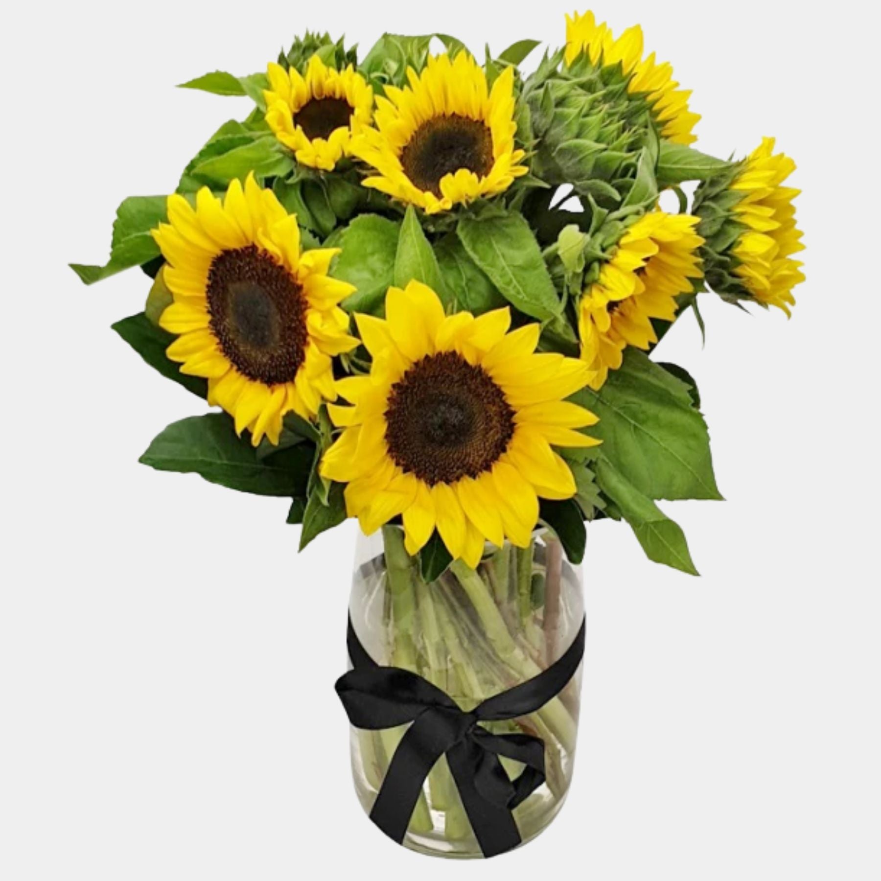 10 Sunflowers in a Vase