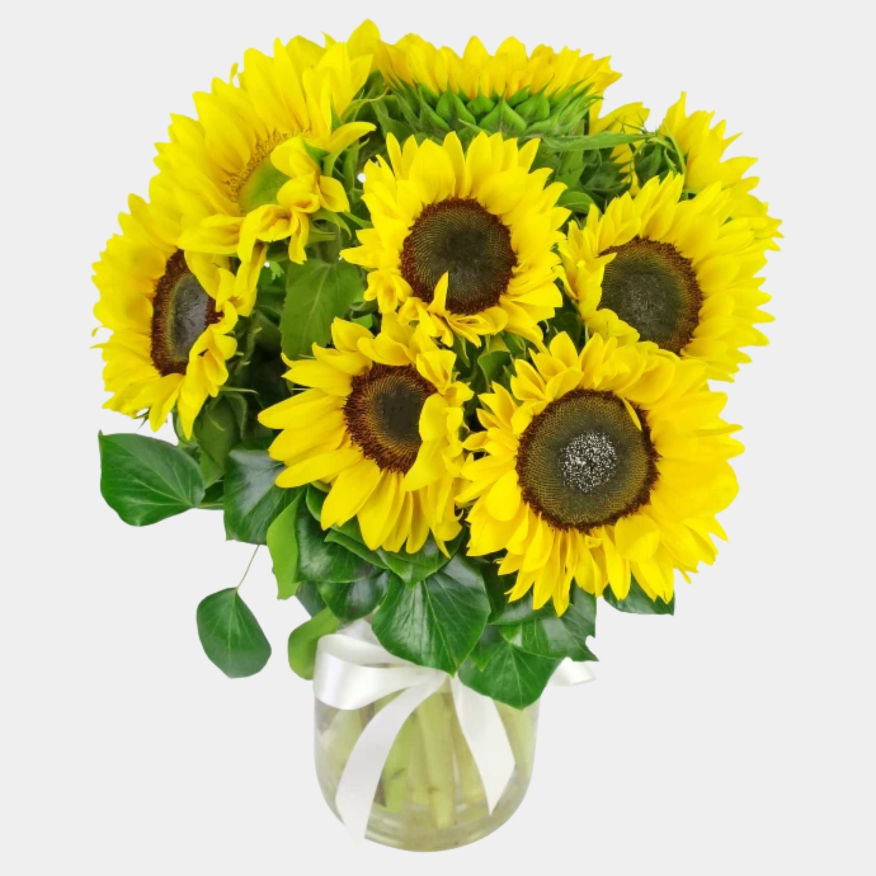 10 Sunflowers in a Vase
