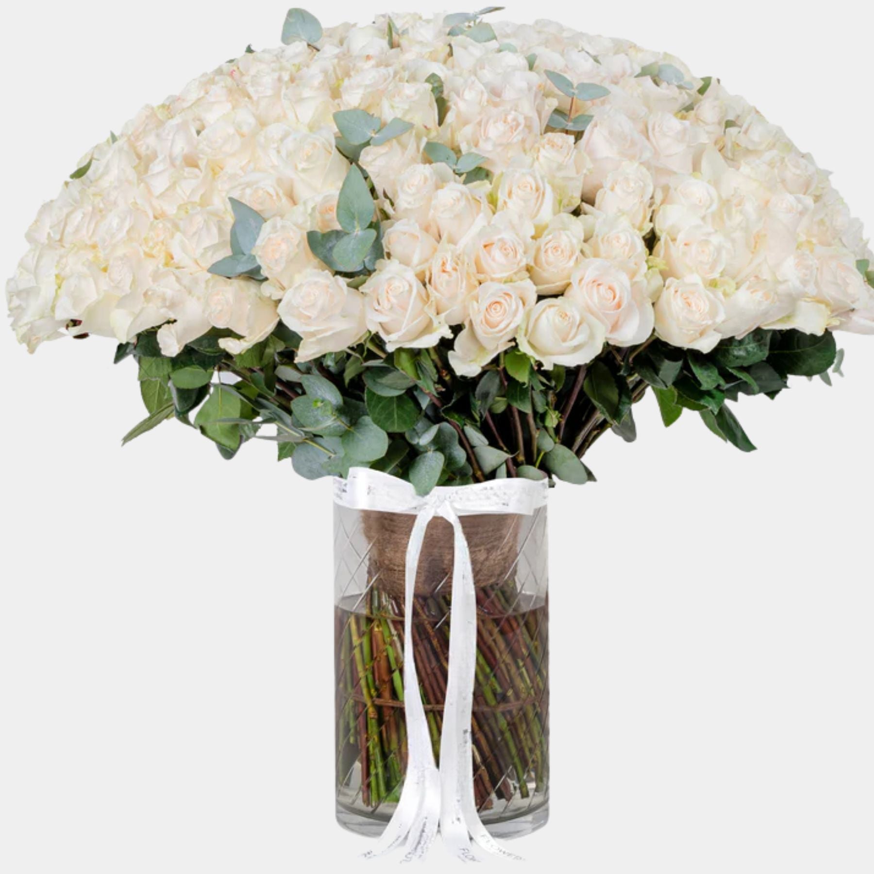 150 Luxury White Roses Vase