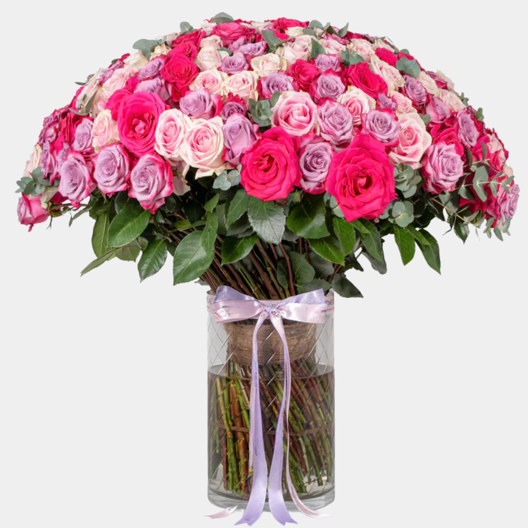200 Luxury Blush Roses Vase