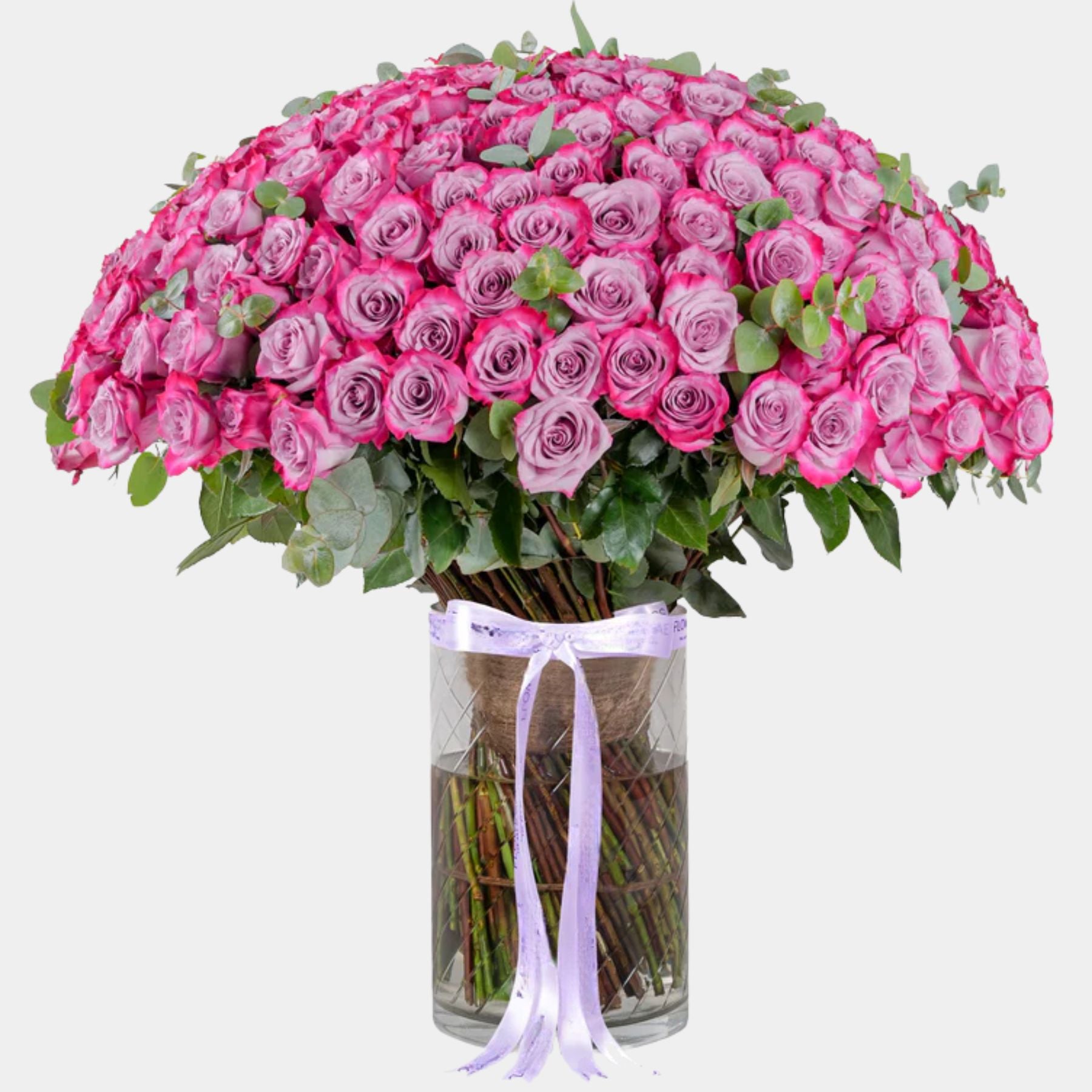 200 Luxury Purple Roses Vase