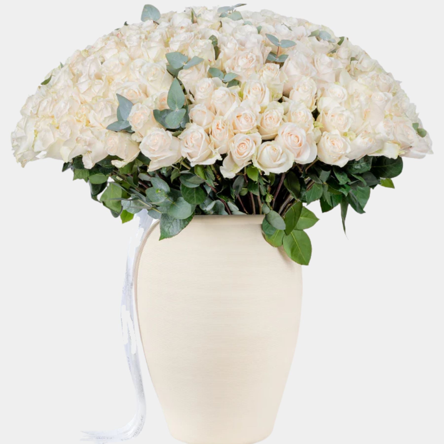 200 Luxury White Roses Vase