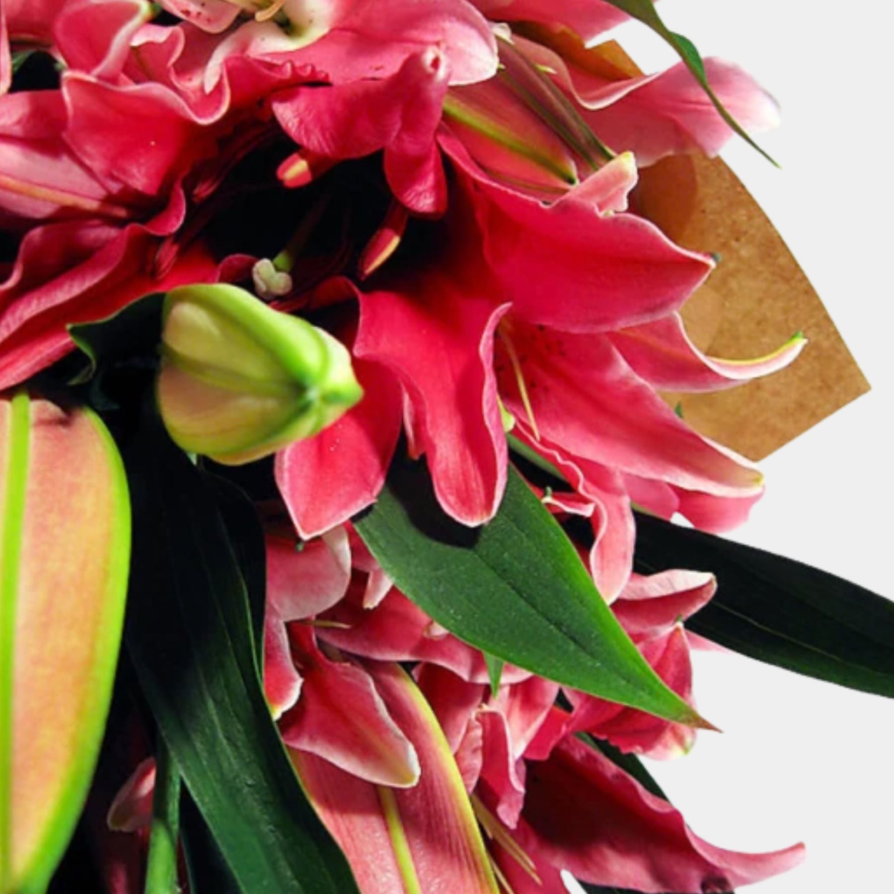 Bouquet of 10 Pink Oriental Lily