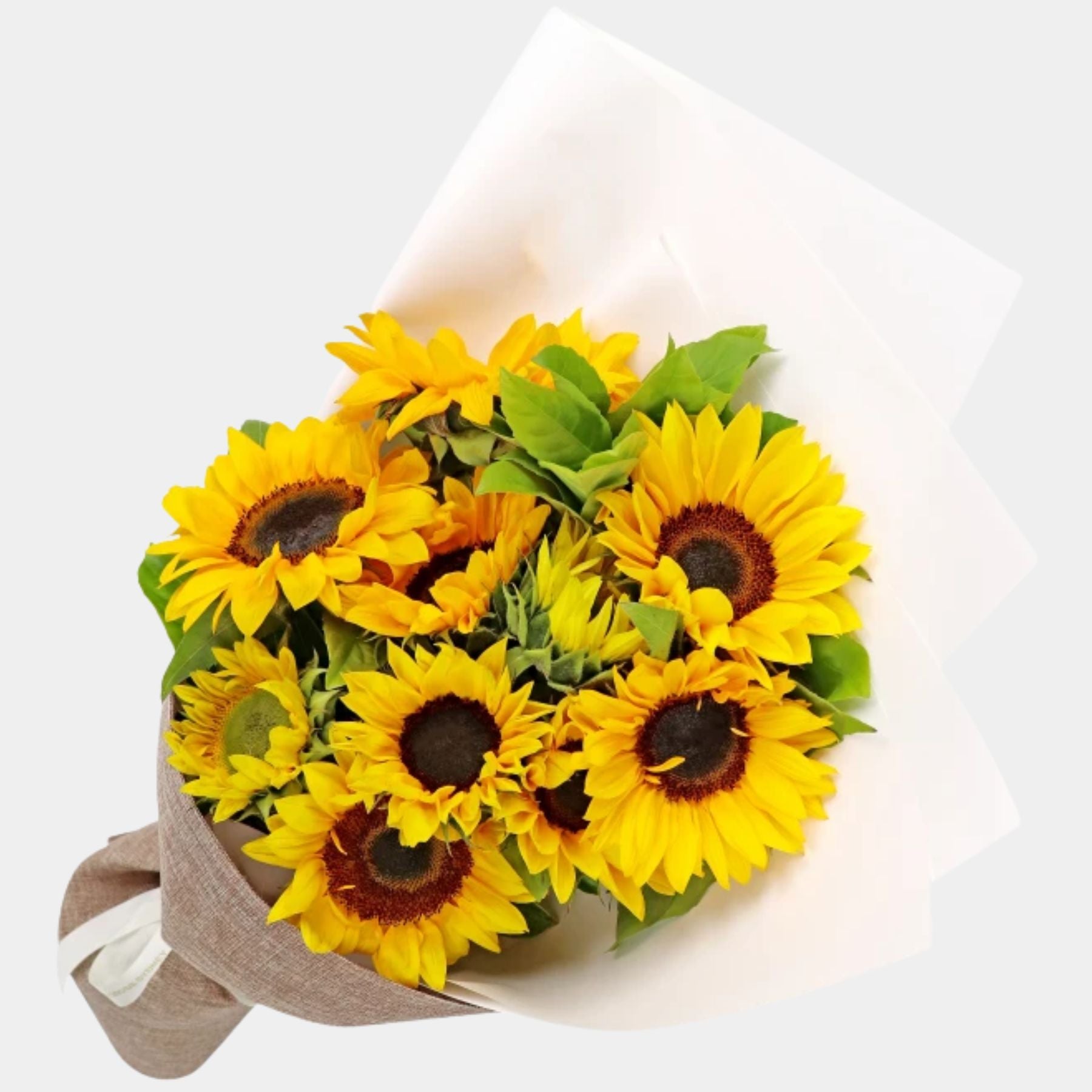 Bouquet of 10 Sunflowers