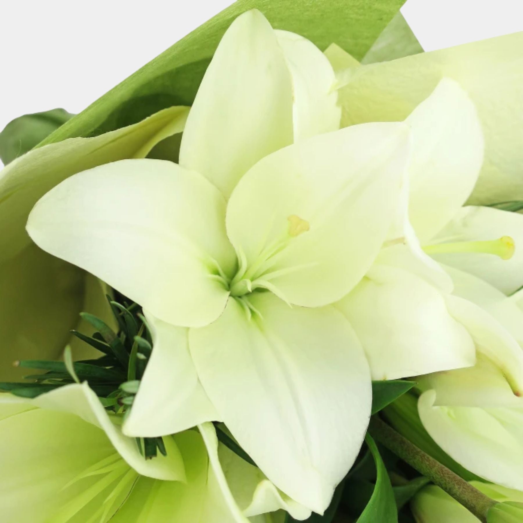Bouquet of 15 White Lily