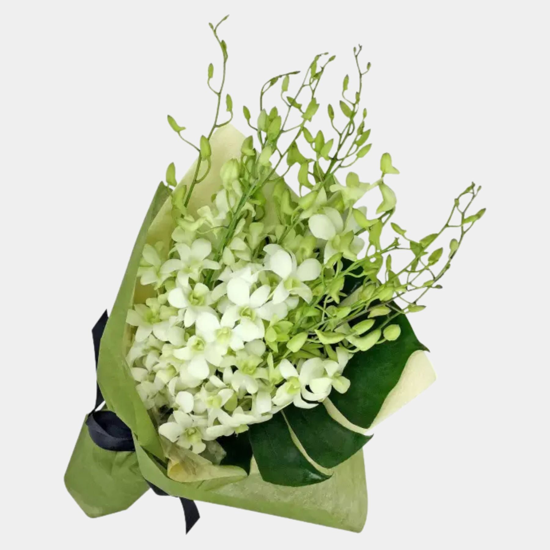 Bouquet of 15 White Orchid
