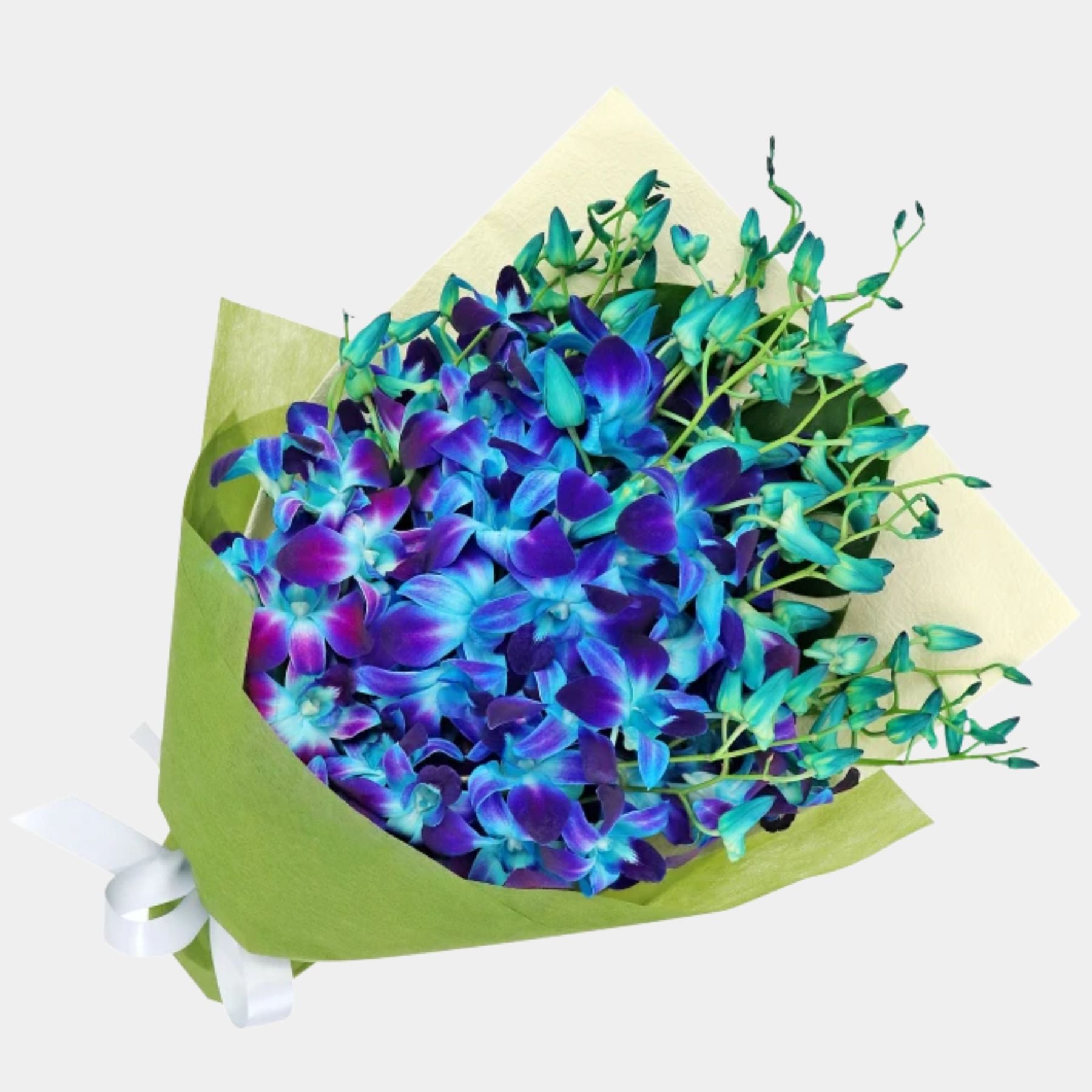 Bouquet of 20 Blue Orchid