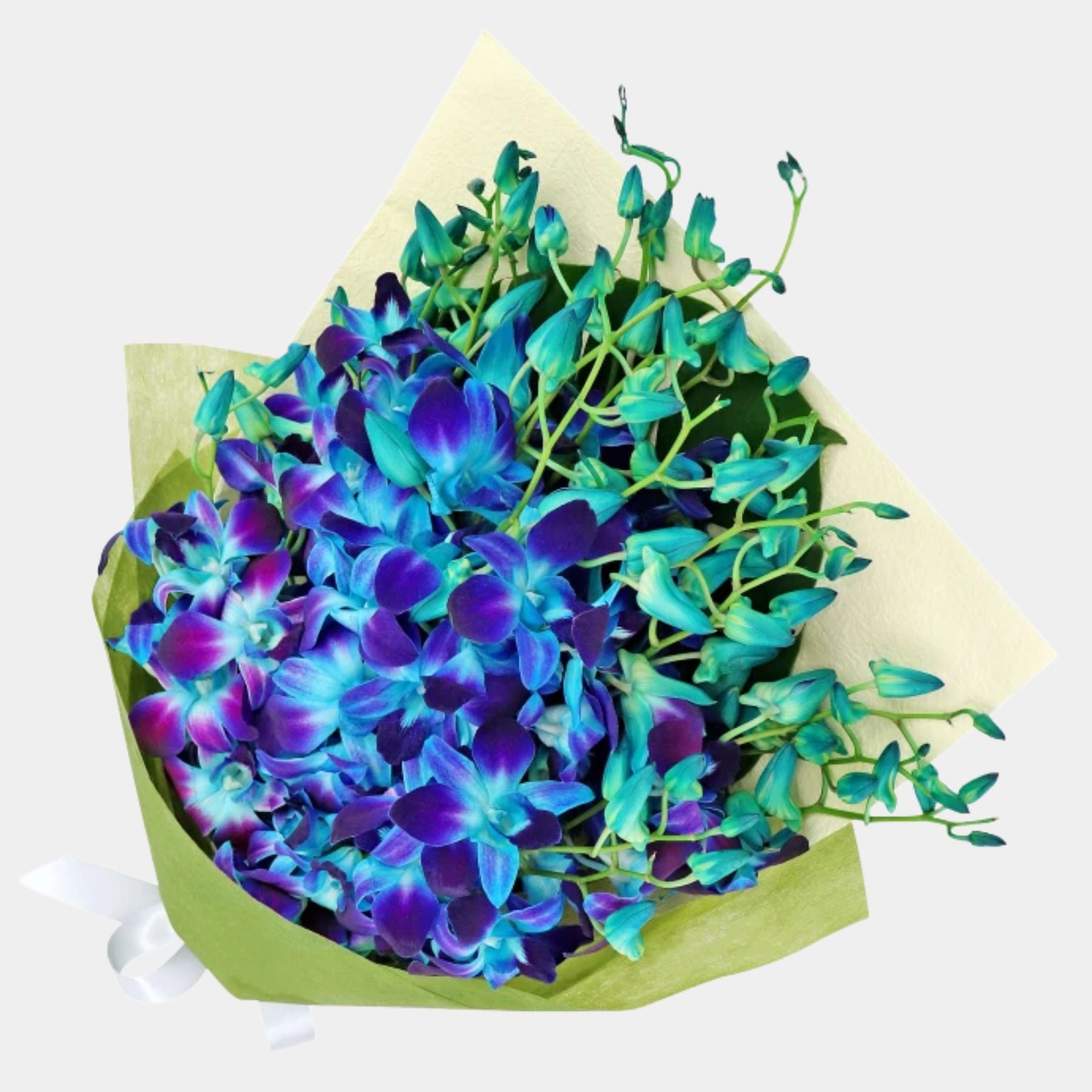 Bouquet of 20 Blue Orchid