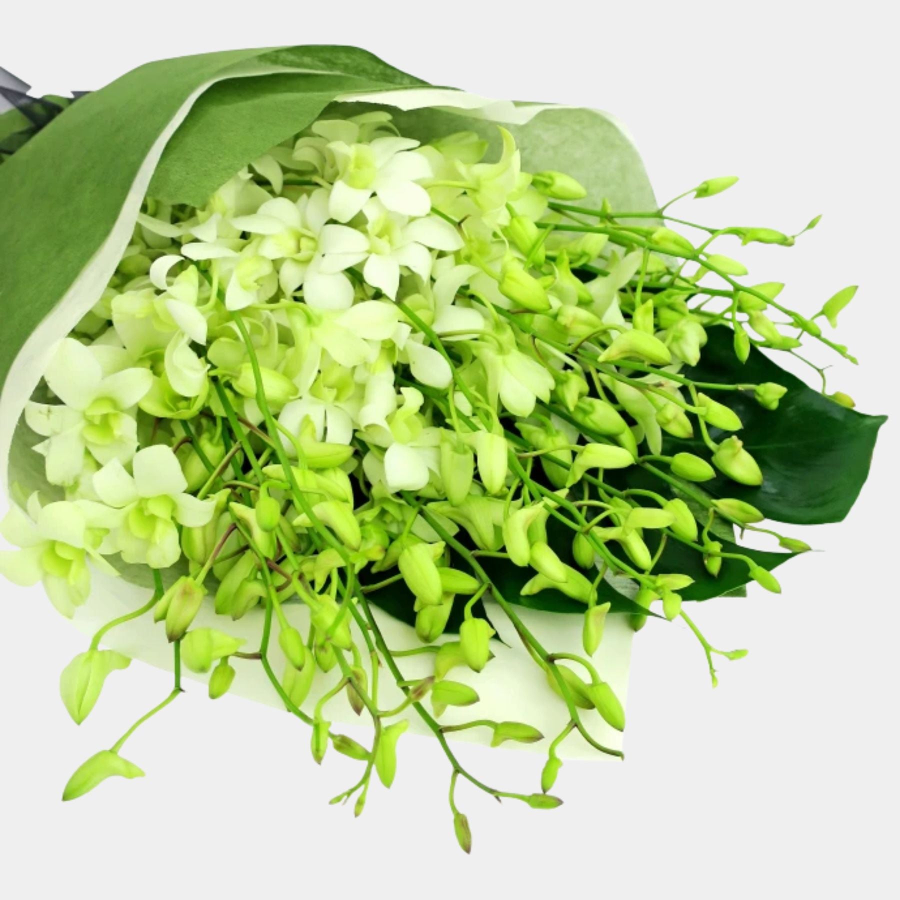 Bouquet of 20 White Orchid