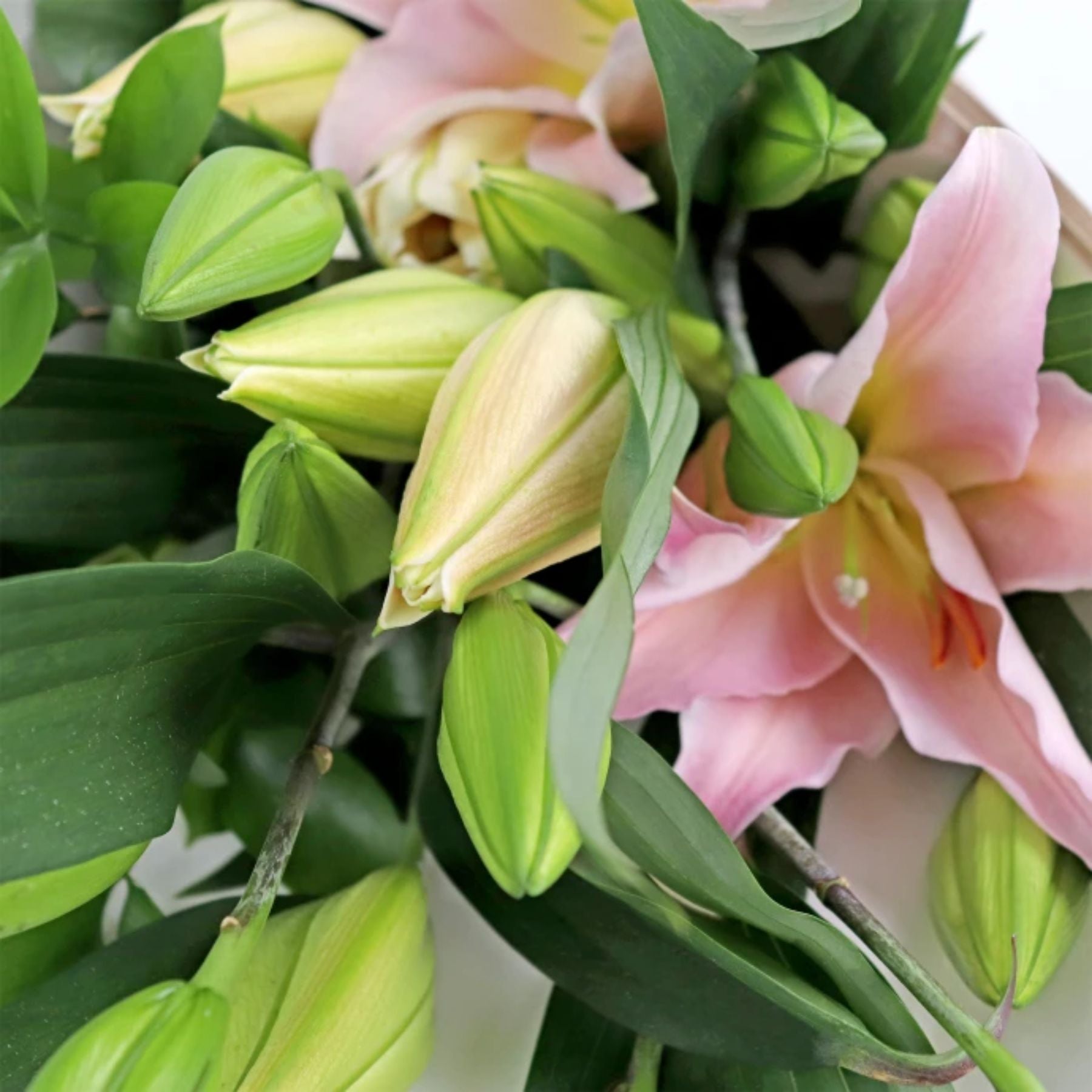 Bouquet of 5 Pink Oriental Lily