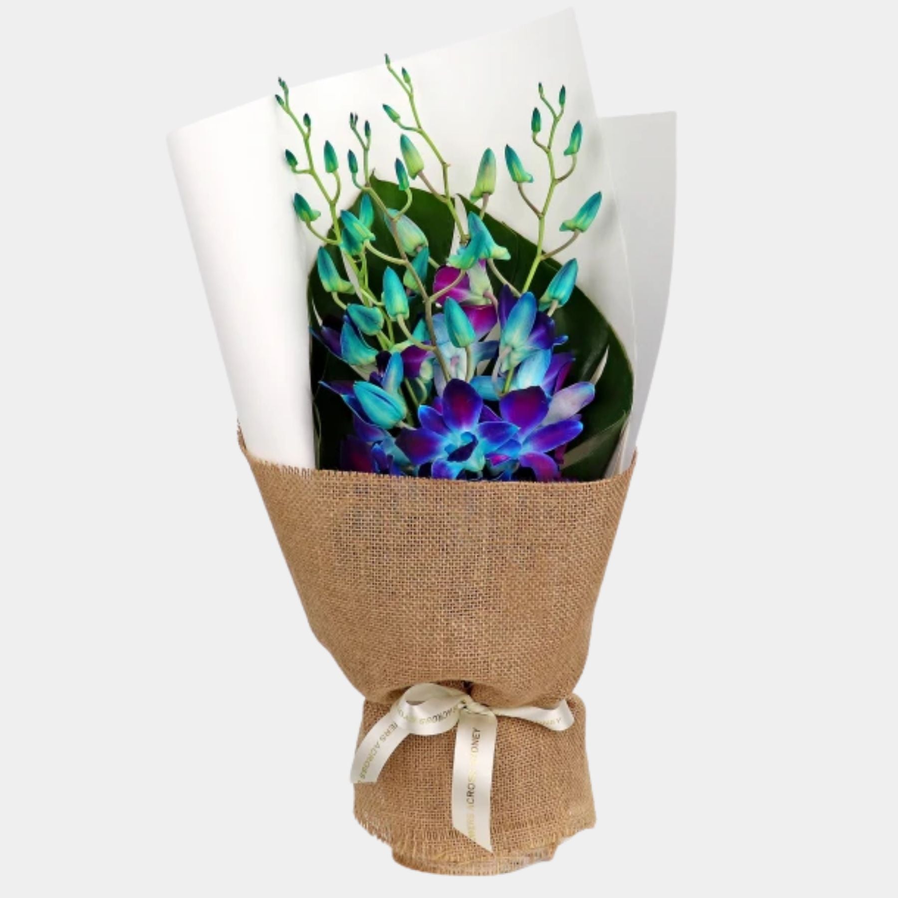 Bouquet of 7 Blue Orchid